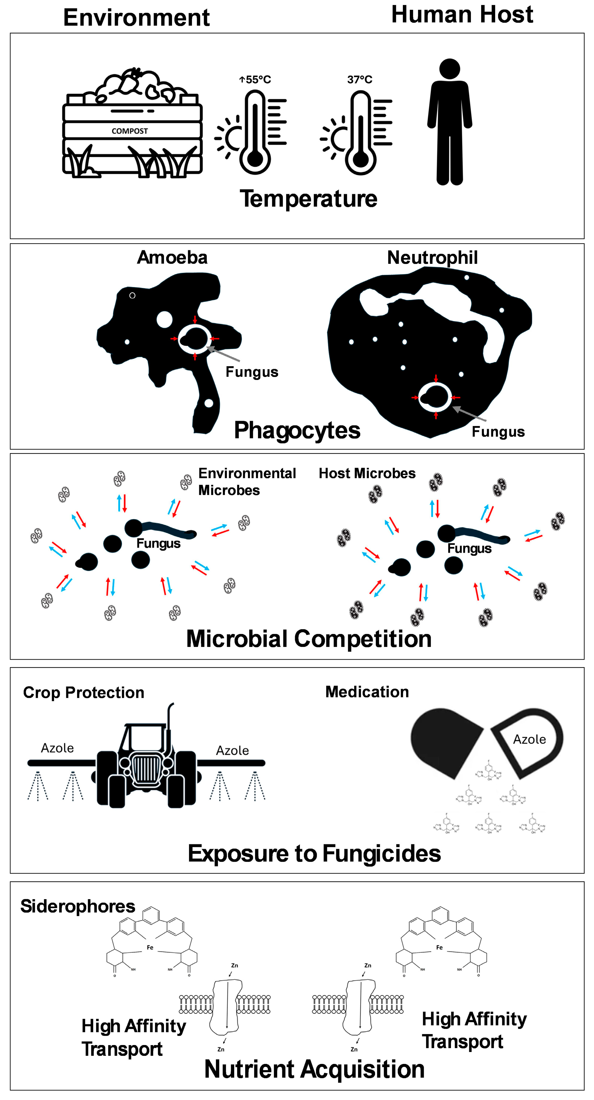 Pathogens 14 00335 g001 Pathogens 14 00335 g001
