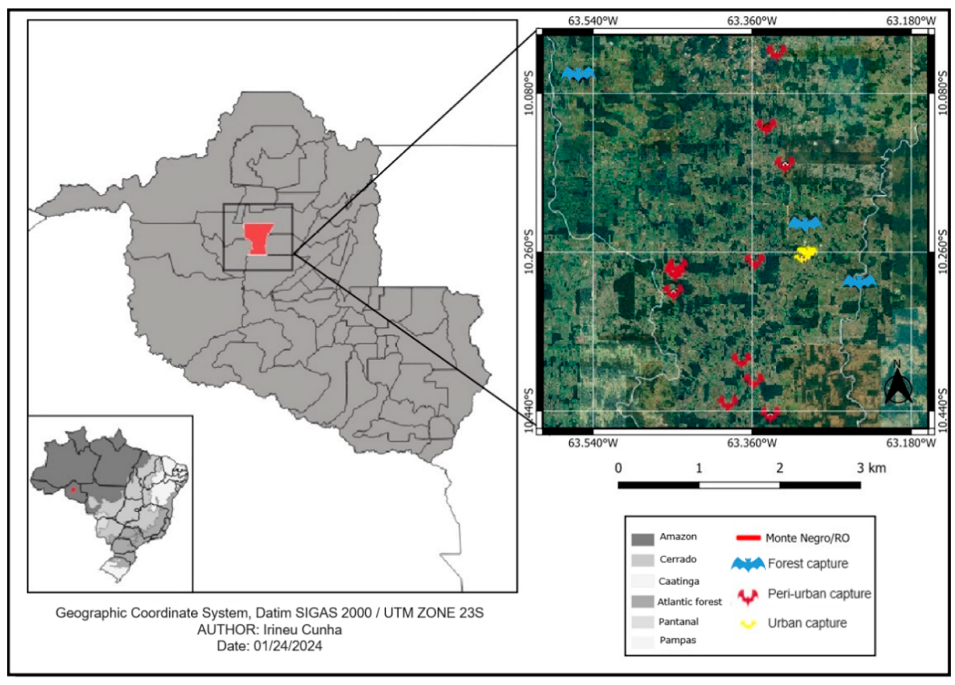 Pathogens 14 00338 g001