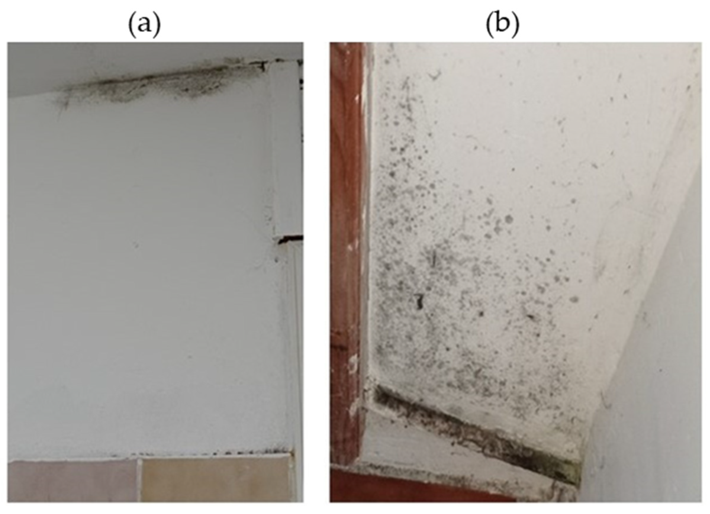 Pathogens 14 00345 g005