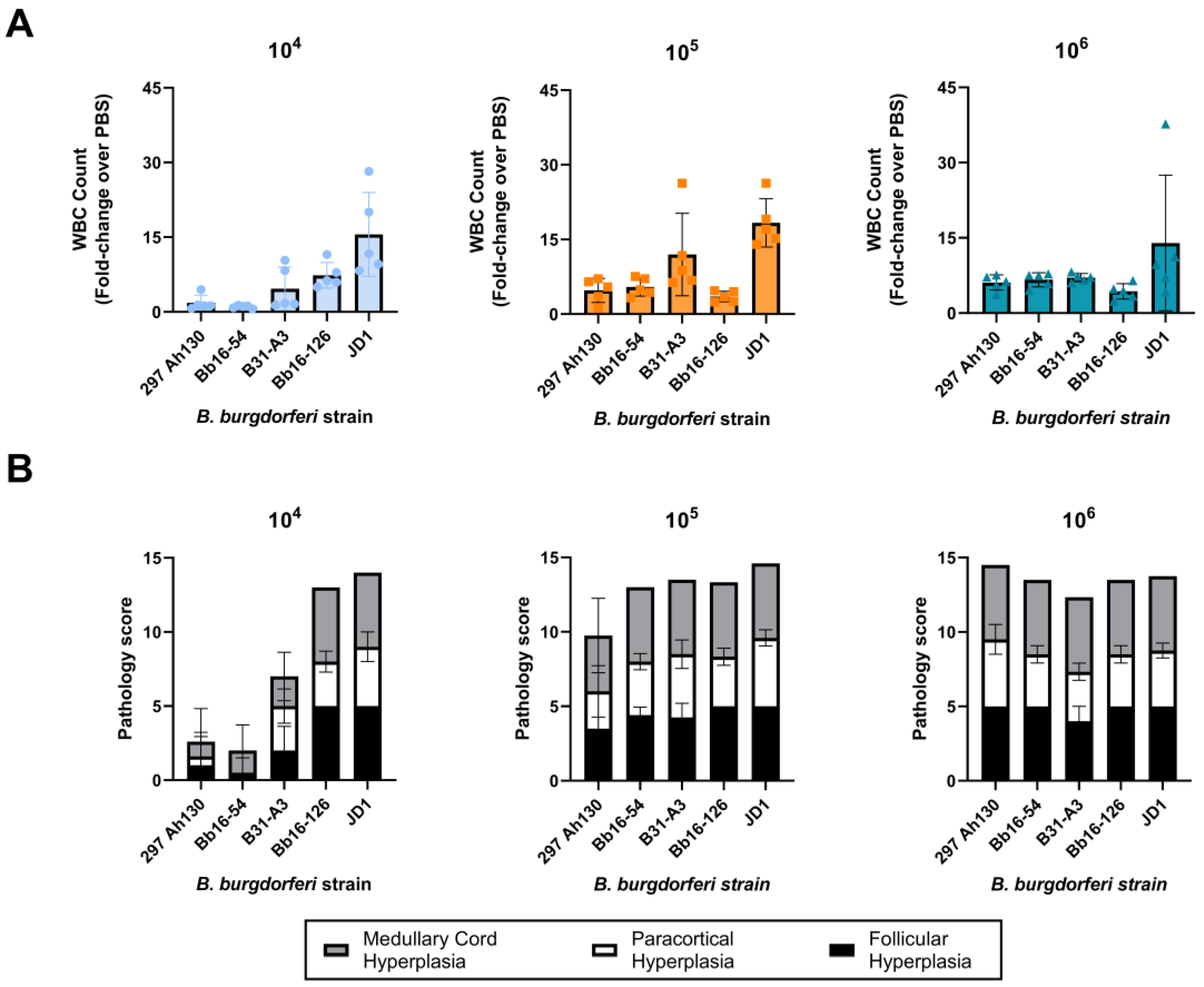 Pathogens 14 00352 g005