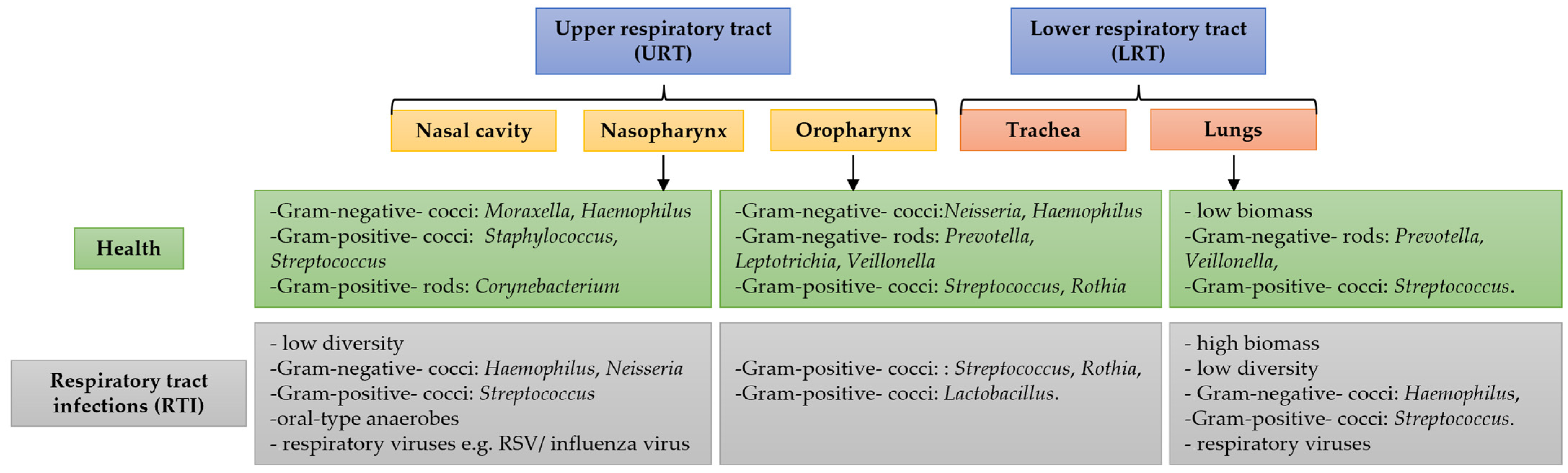 Pathogens 14 00355 g001