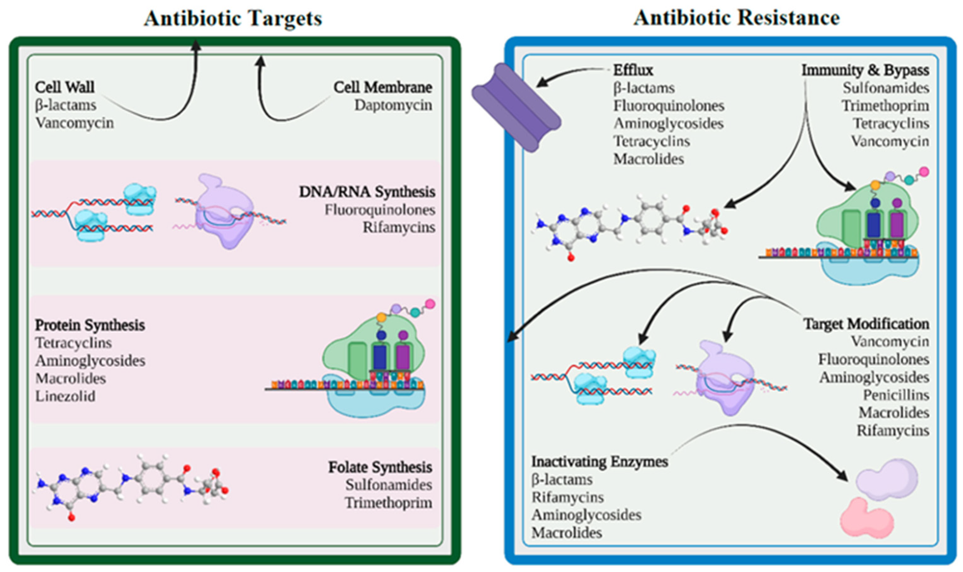 Pathogens 14 00355 g004