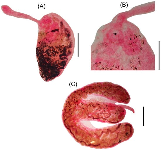 Pathogens 14 00359 g003