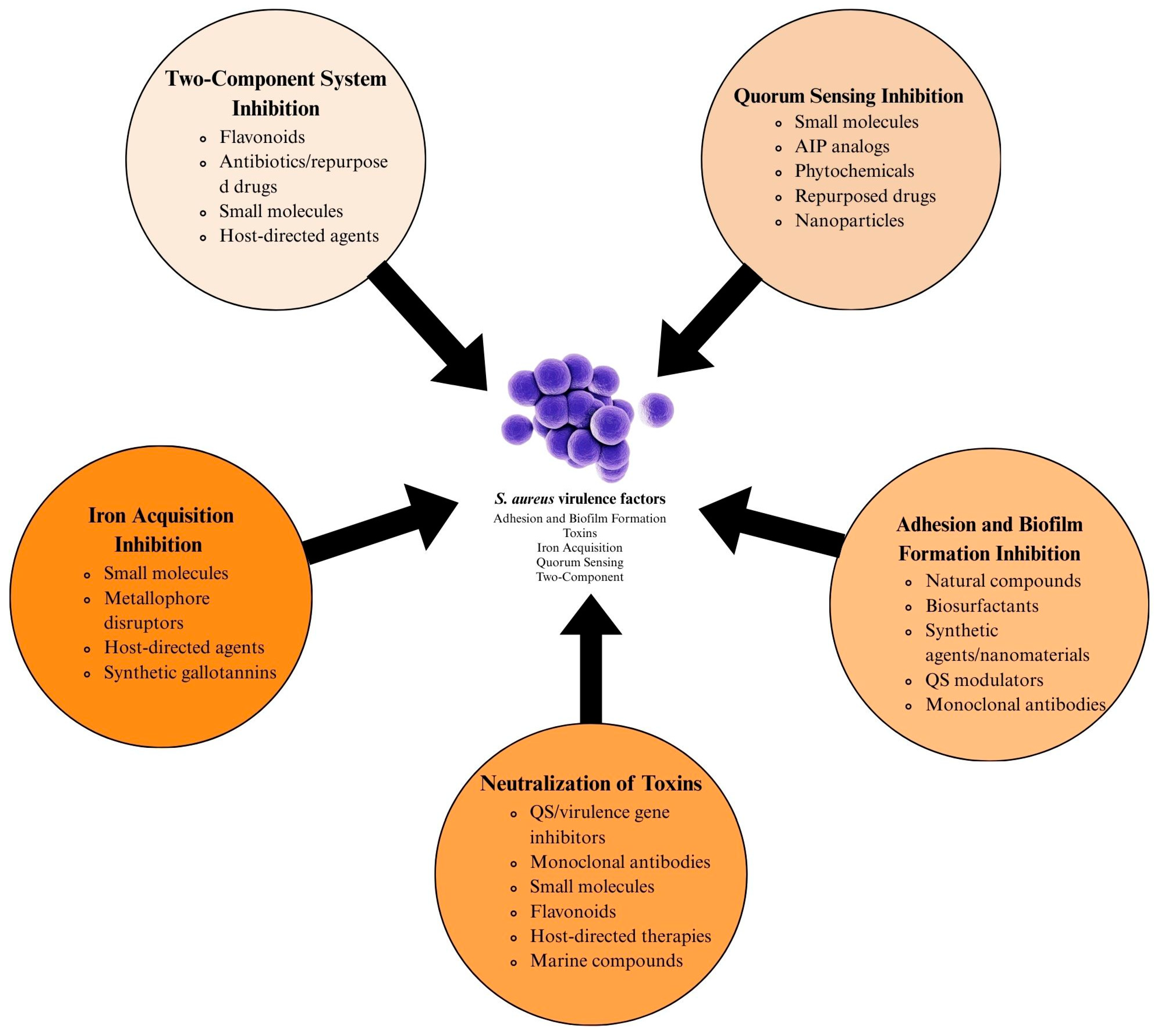 Pathogens 14 00386 g001