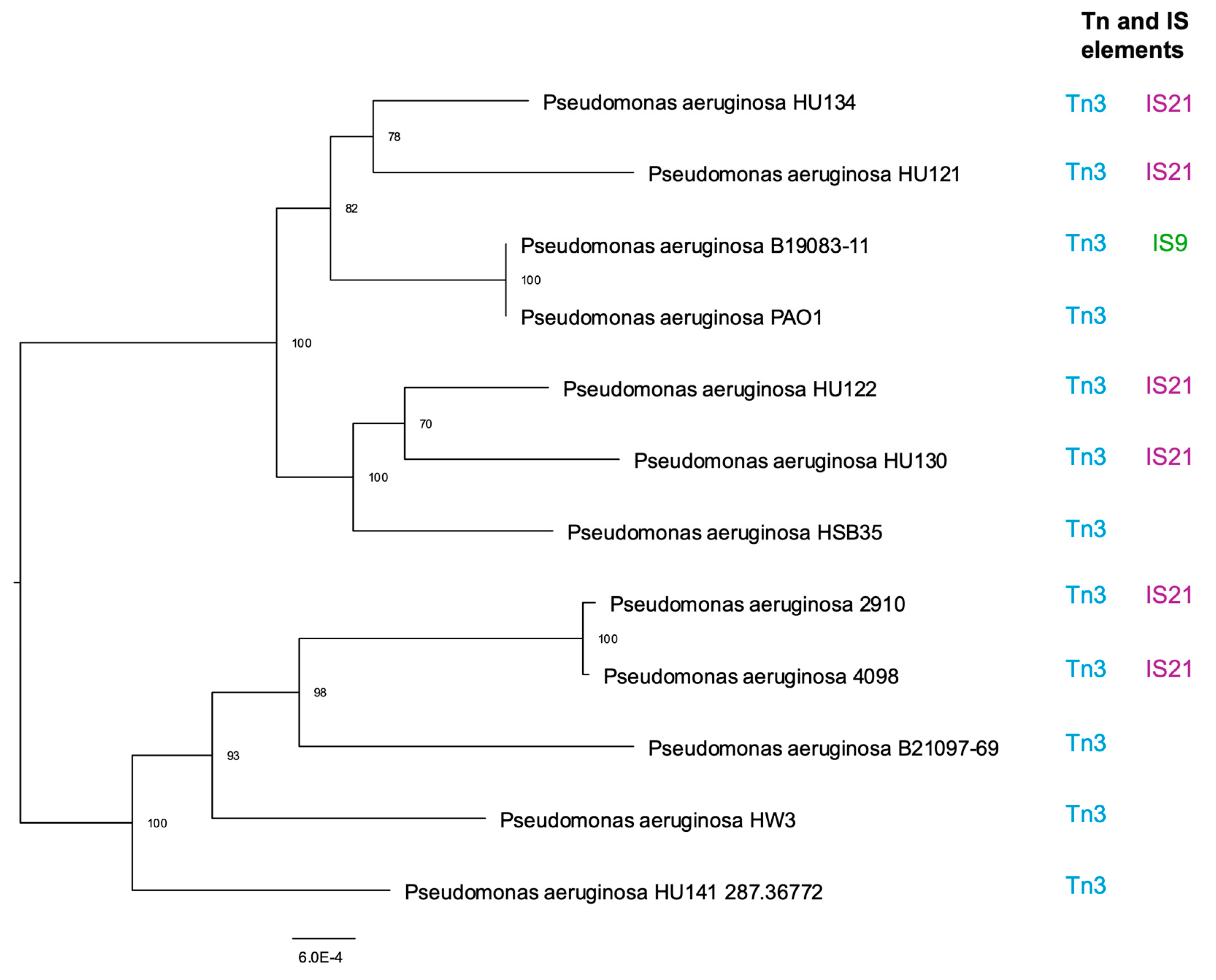 Pathogens 14 00387 g001 Pathogens 14 00387 g001
