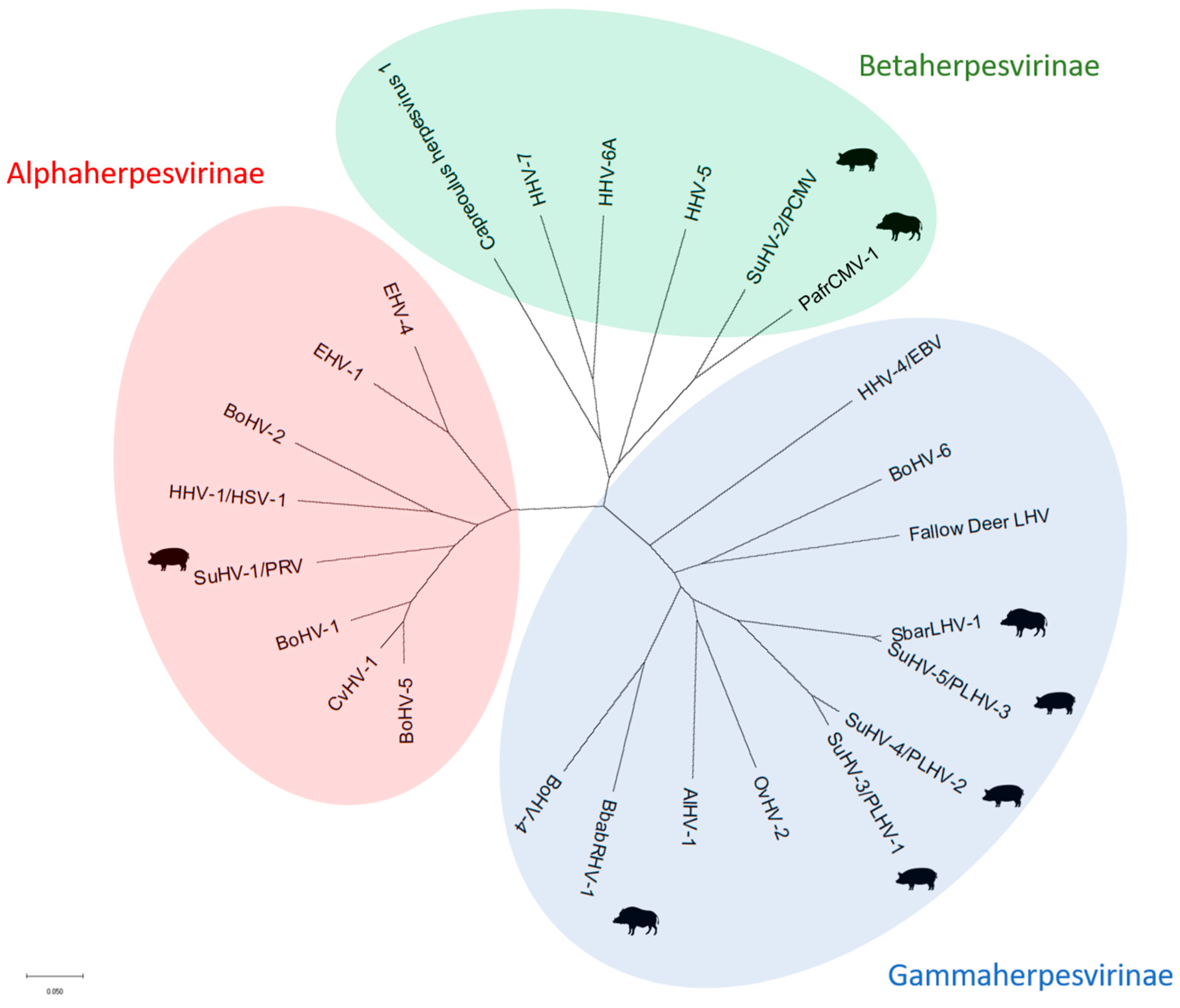 Pathogens 14 00396 g001