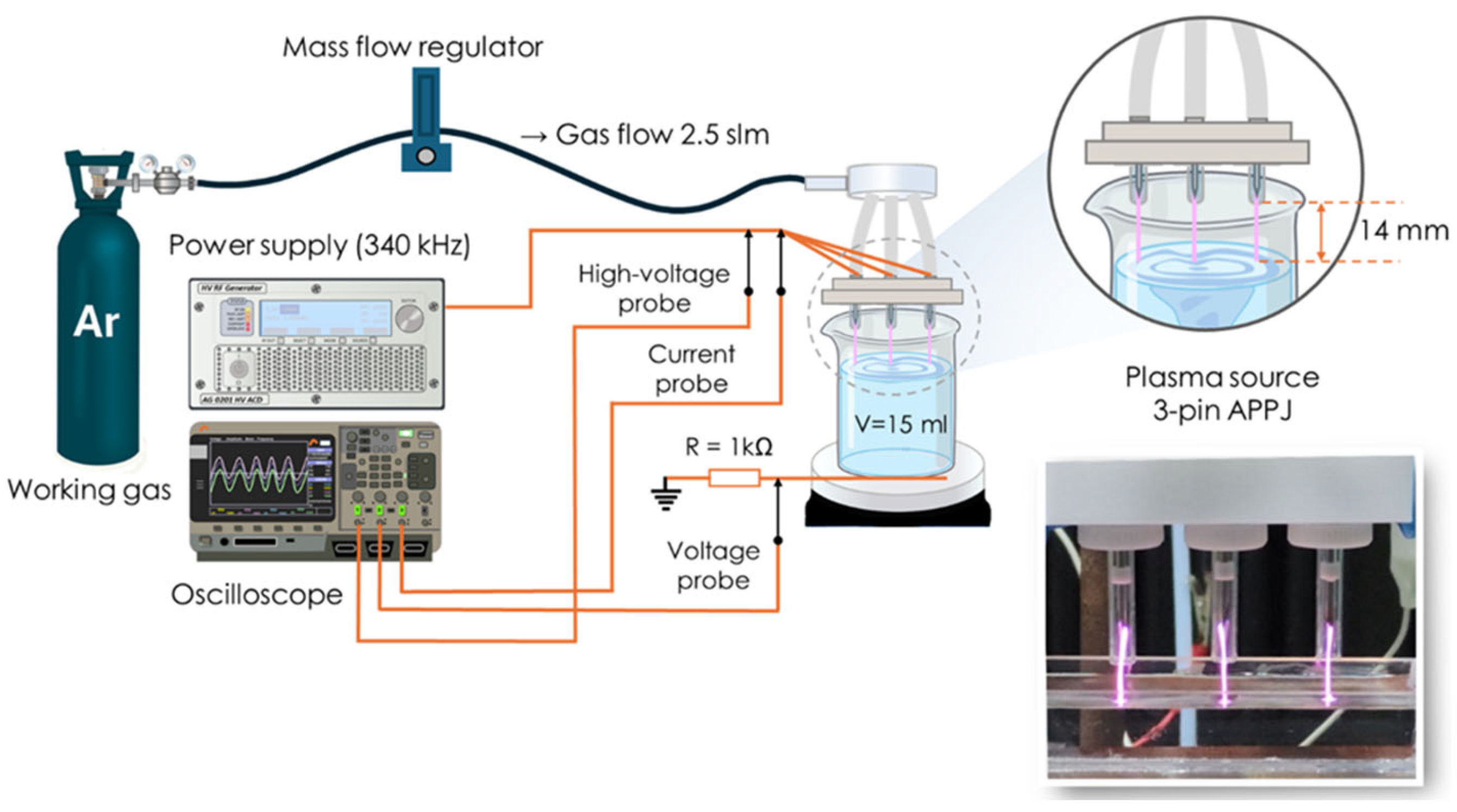 Pathogens 14 00410 g001