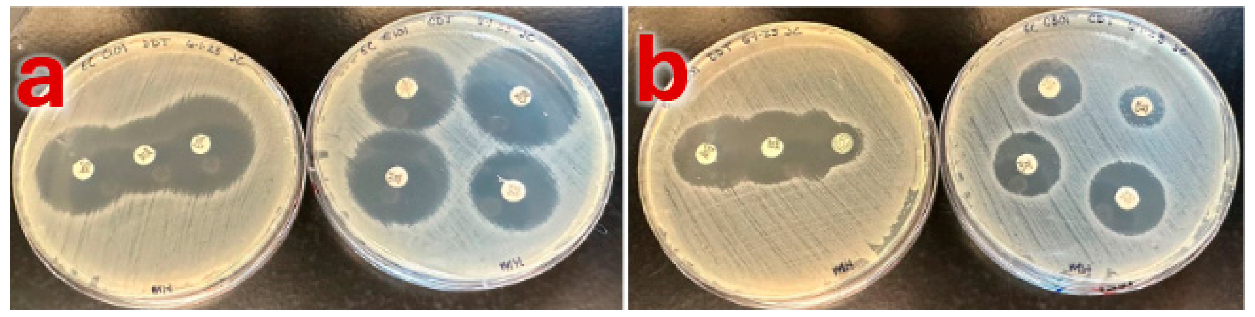 Pathogens 14 00417 g001 Pathogens 14 00417 g001