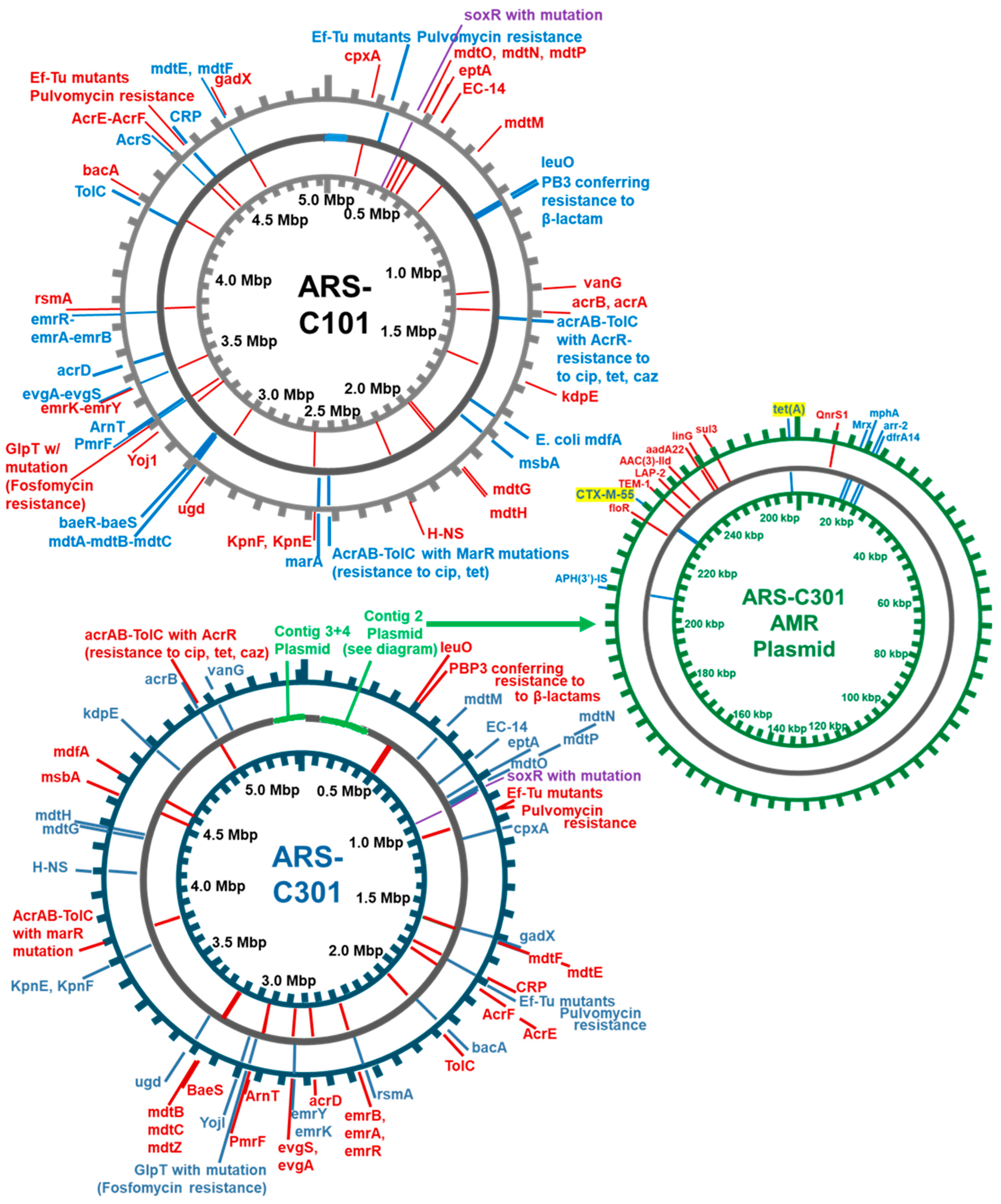 Pathogens 14 00417 g003 Pathogens 14 00417 g003