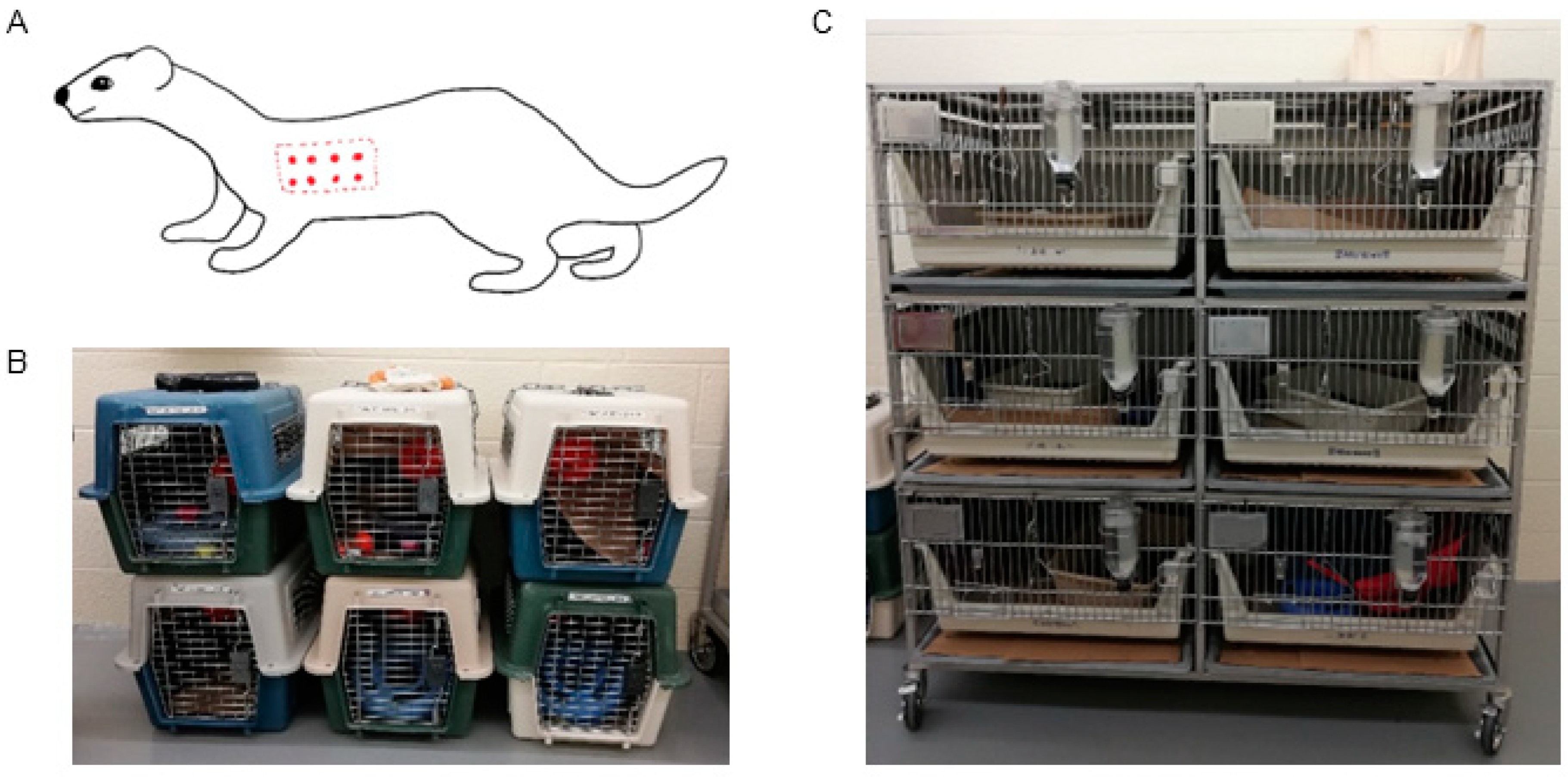 Pathogens 14 00421 g001 Pathogens 14 00421 g001