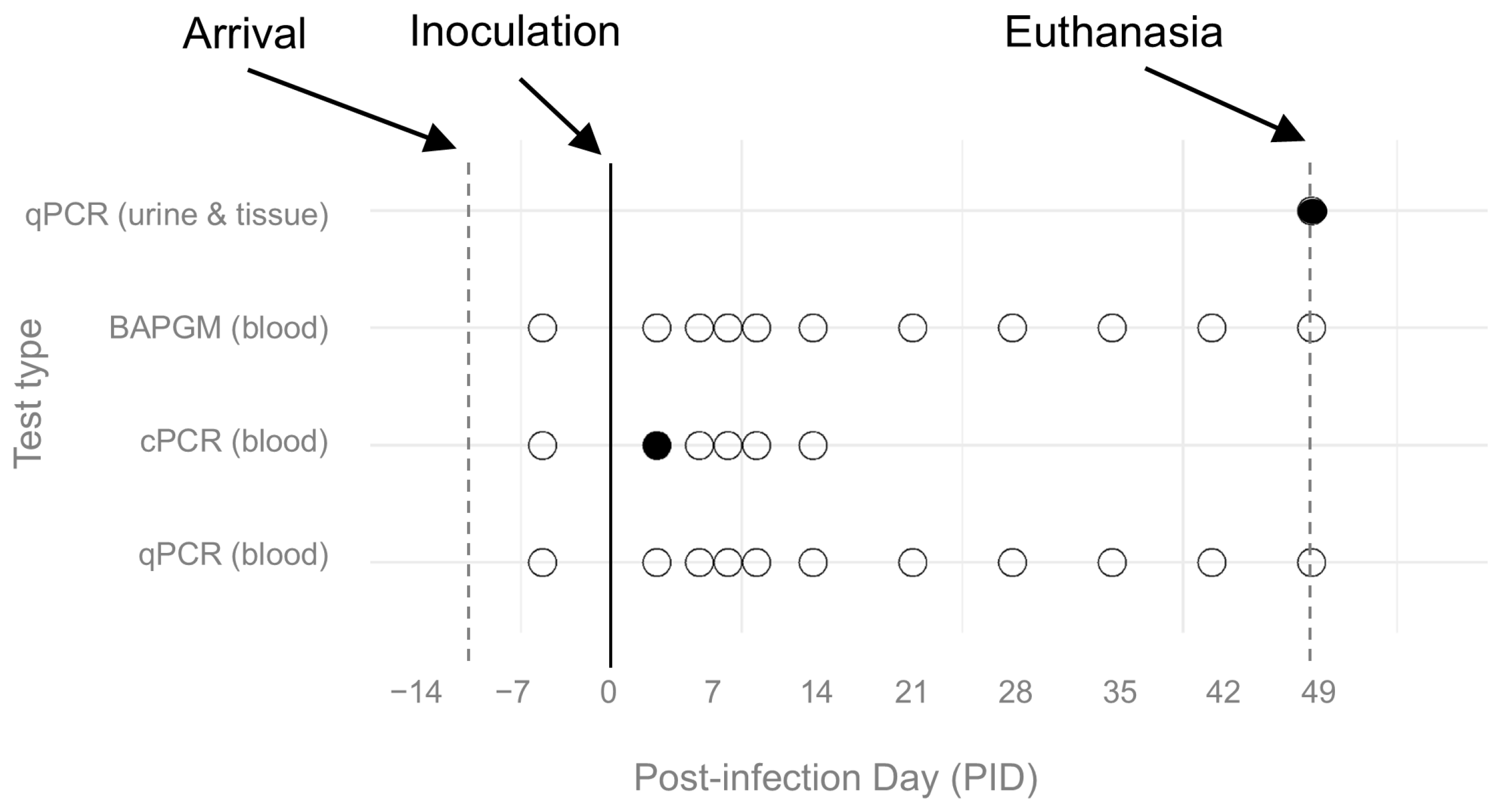 Pathogens 14 00421 g003 Pathogens 14 00421 g003