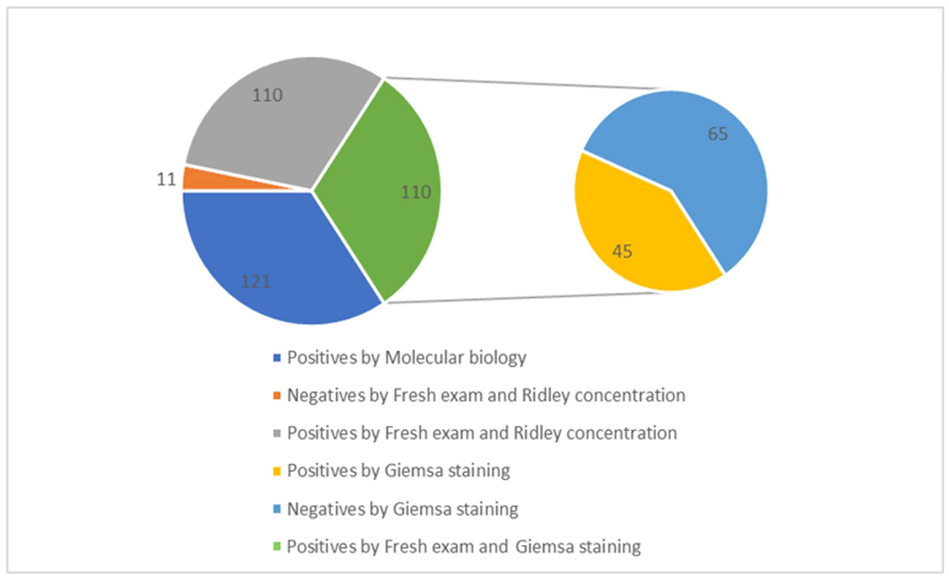 Pathogens 14 00425 g002