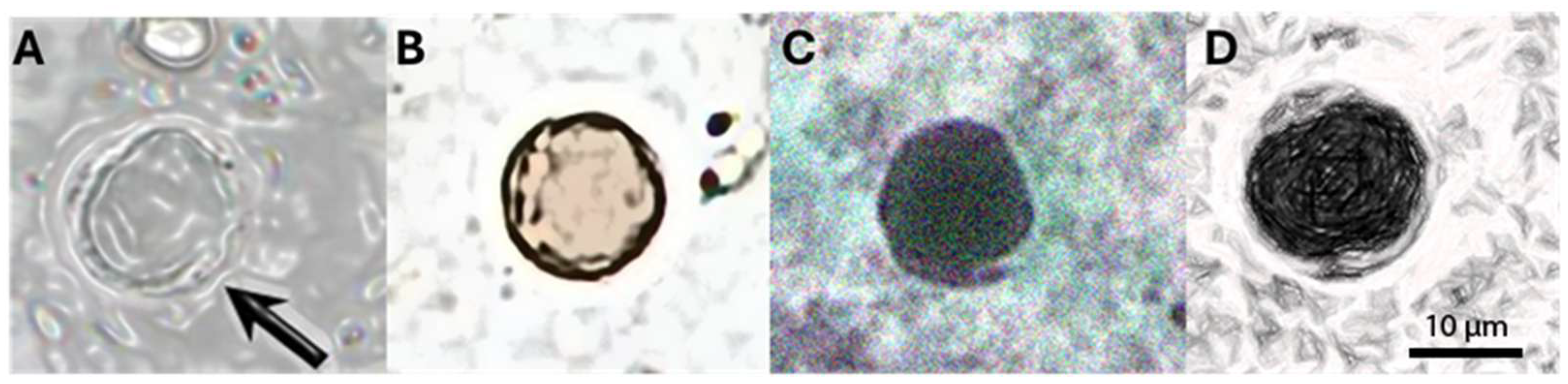Pathogens 14 00425 g003