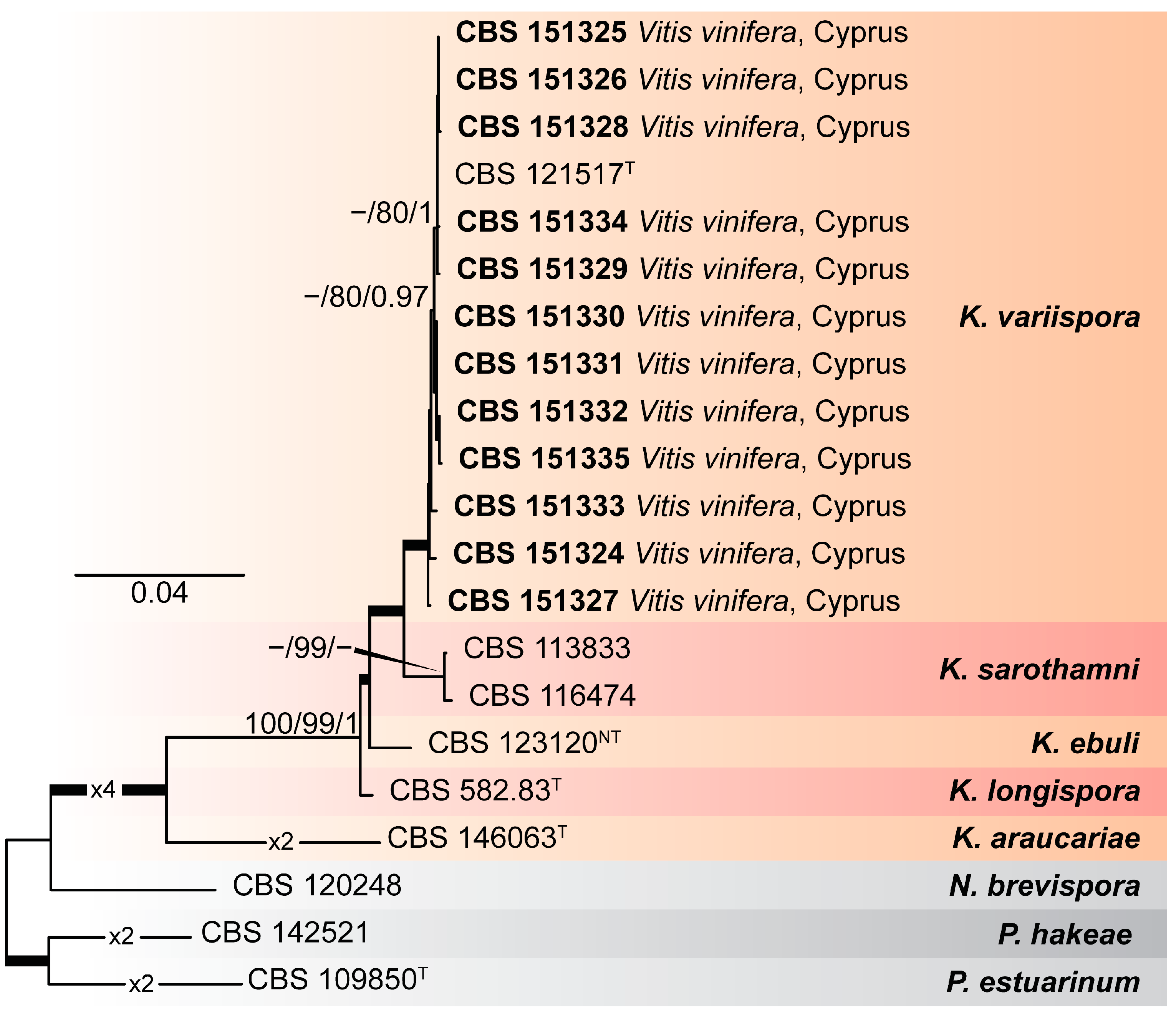 Pathogens 14 00428 g001 Pathogens 14 00428 g001