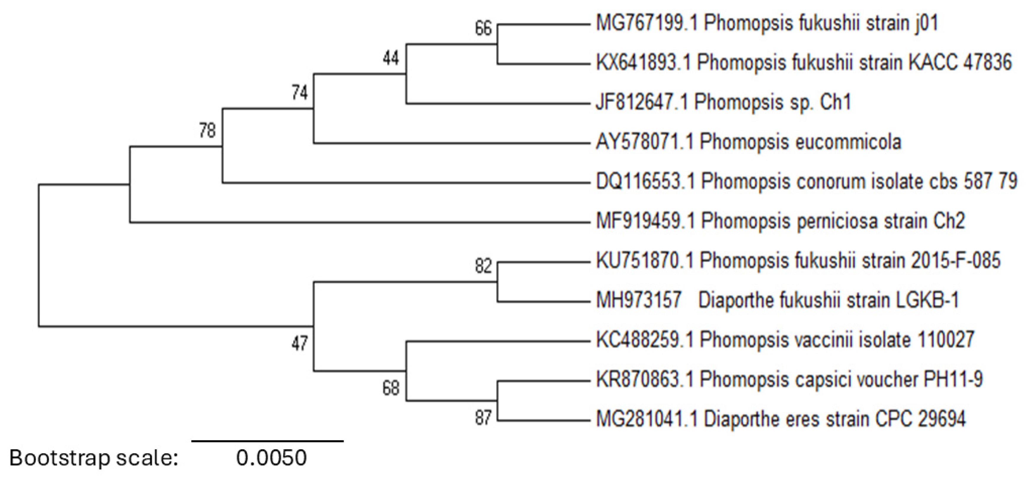 Pathogens 14 00432 g003