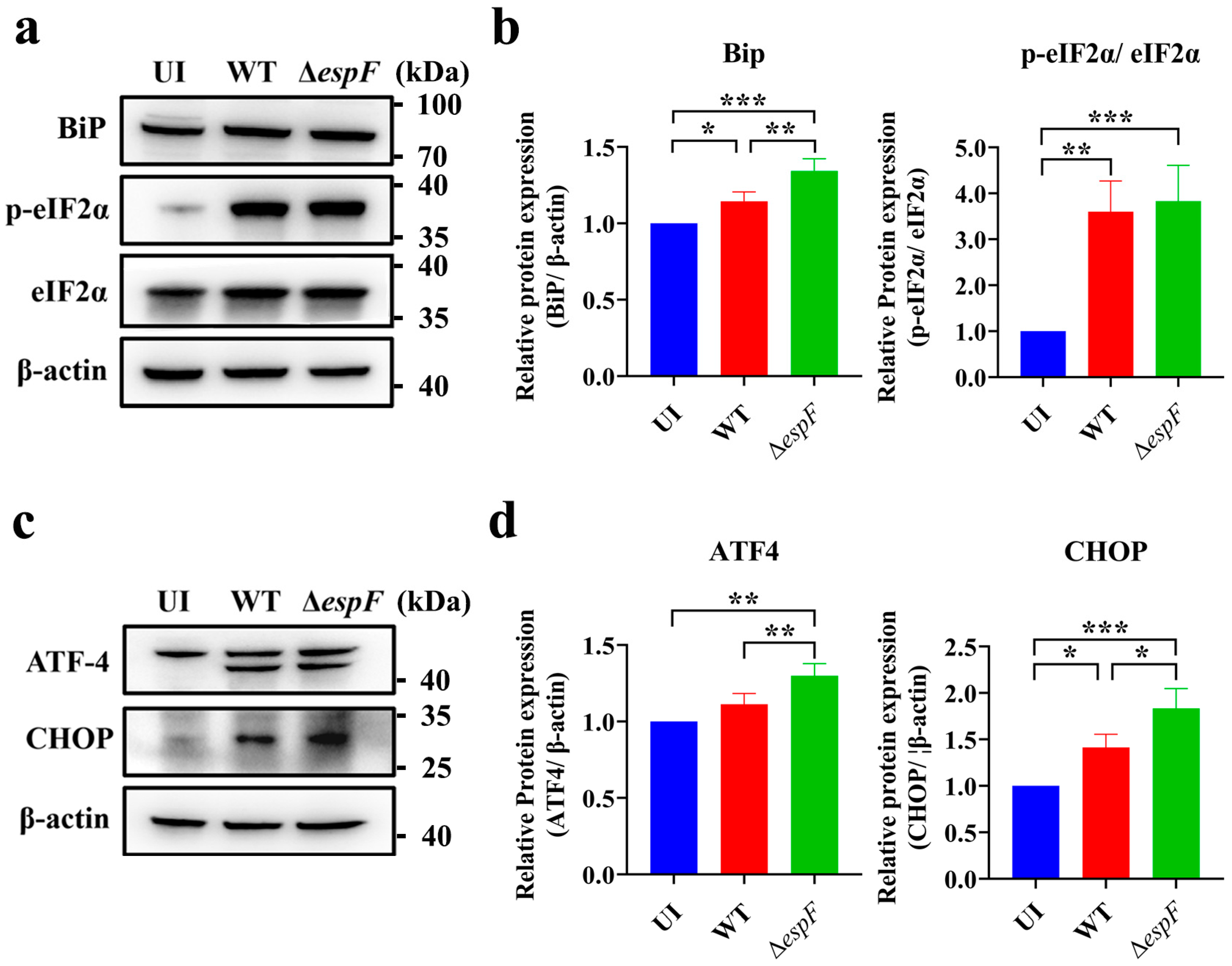 Pathogens 14 00440 g001 Pathogens 14 00440 g001