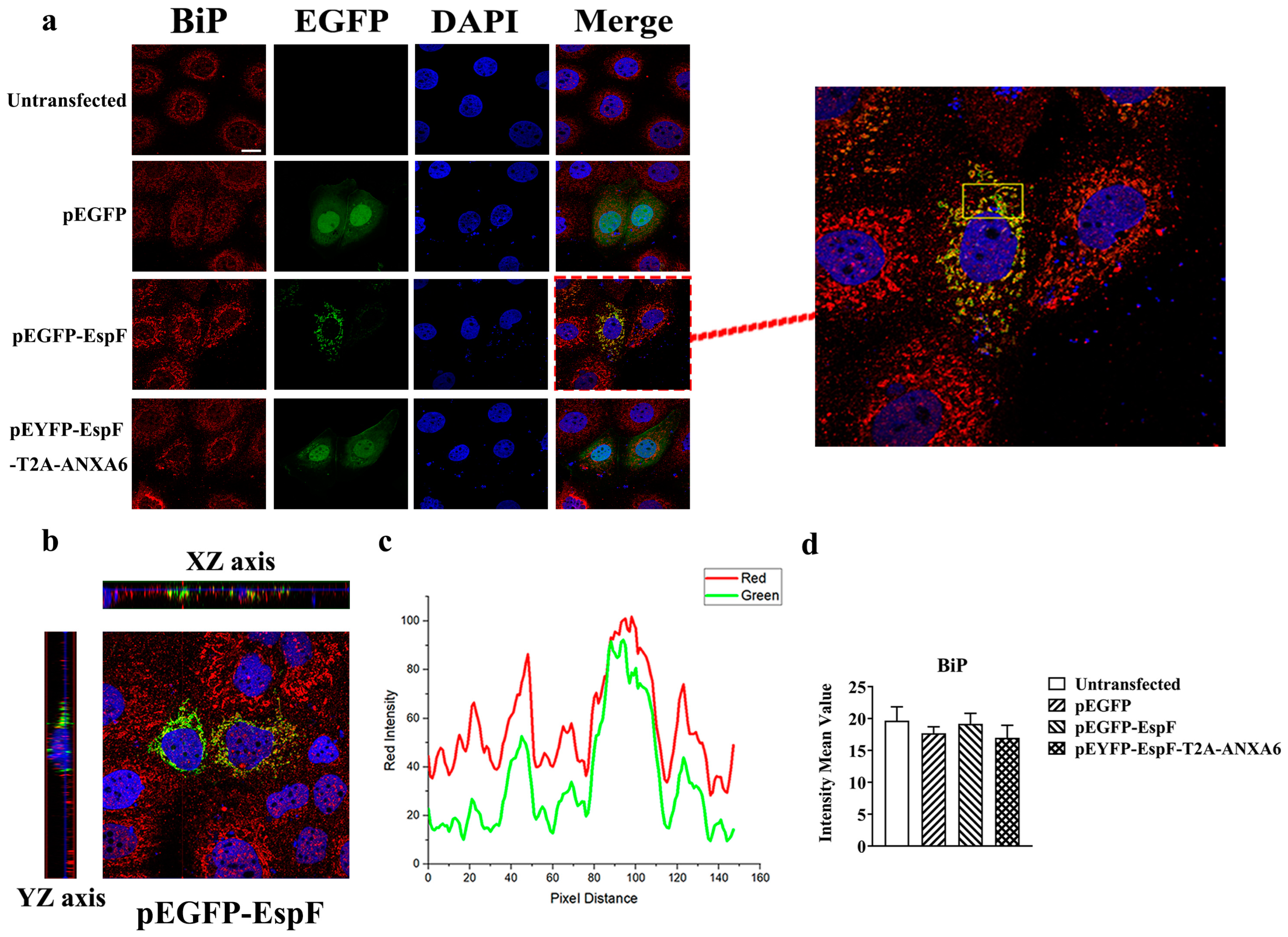 Pathogens 14 00440 g002 Pathogens 14 00440 g002