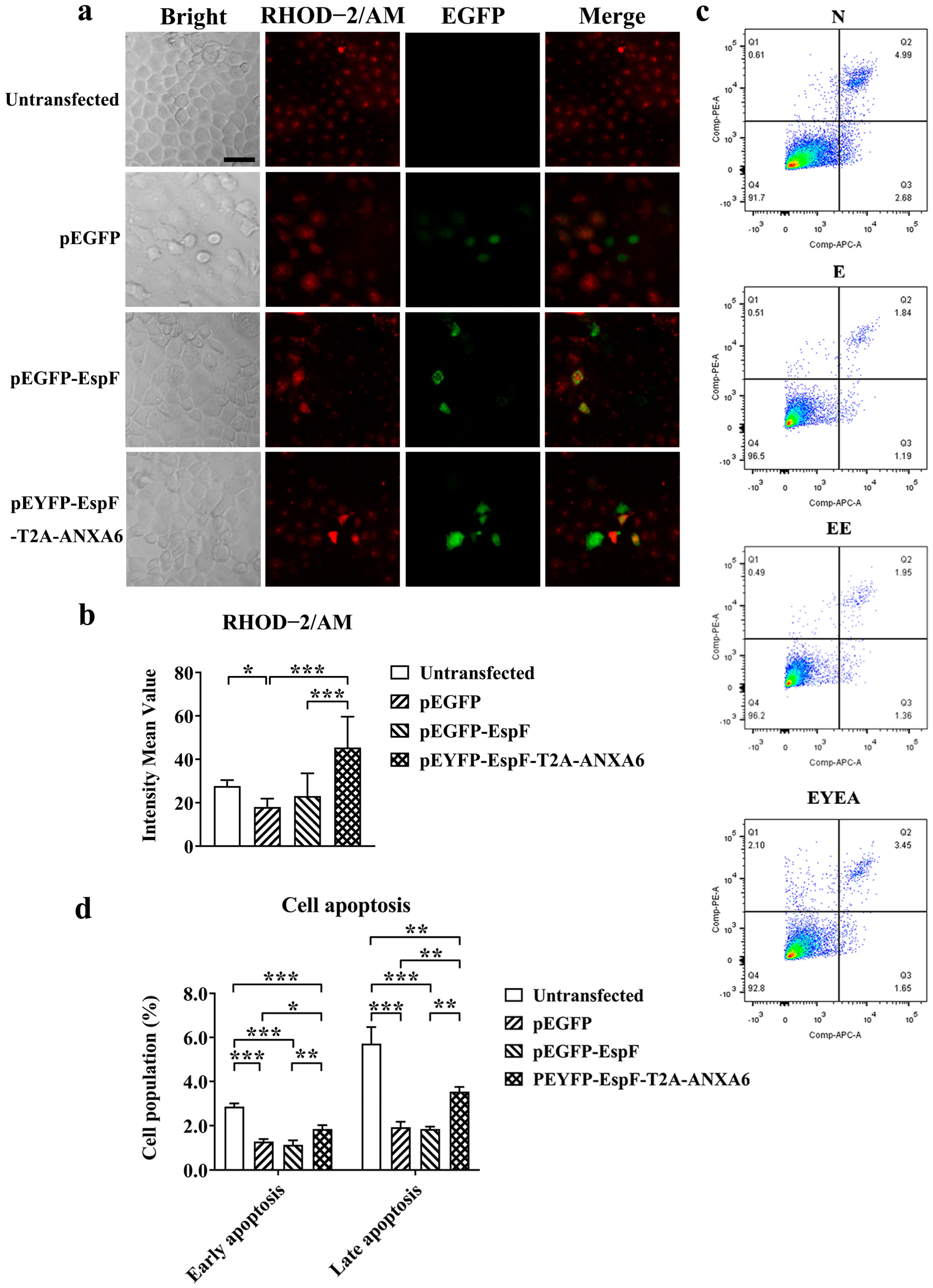 Pathogens 14 00440 g004 Pathogens 14 00440 g004