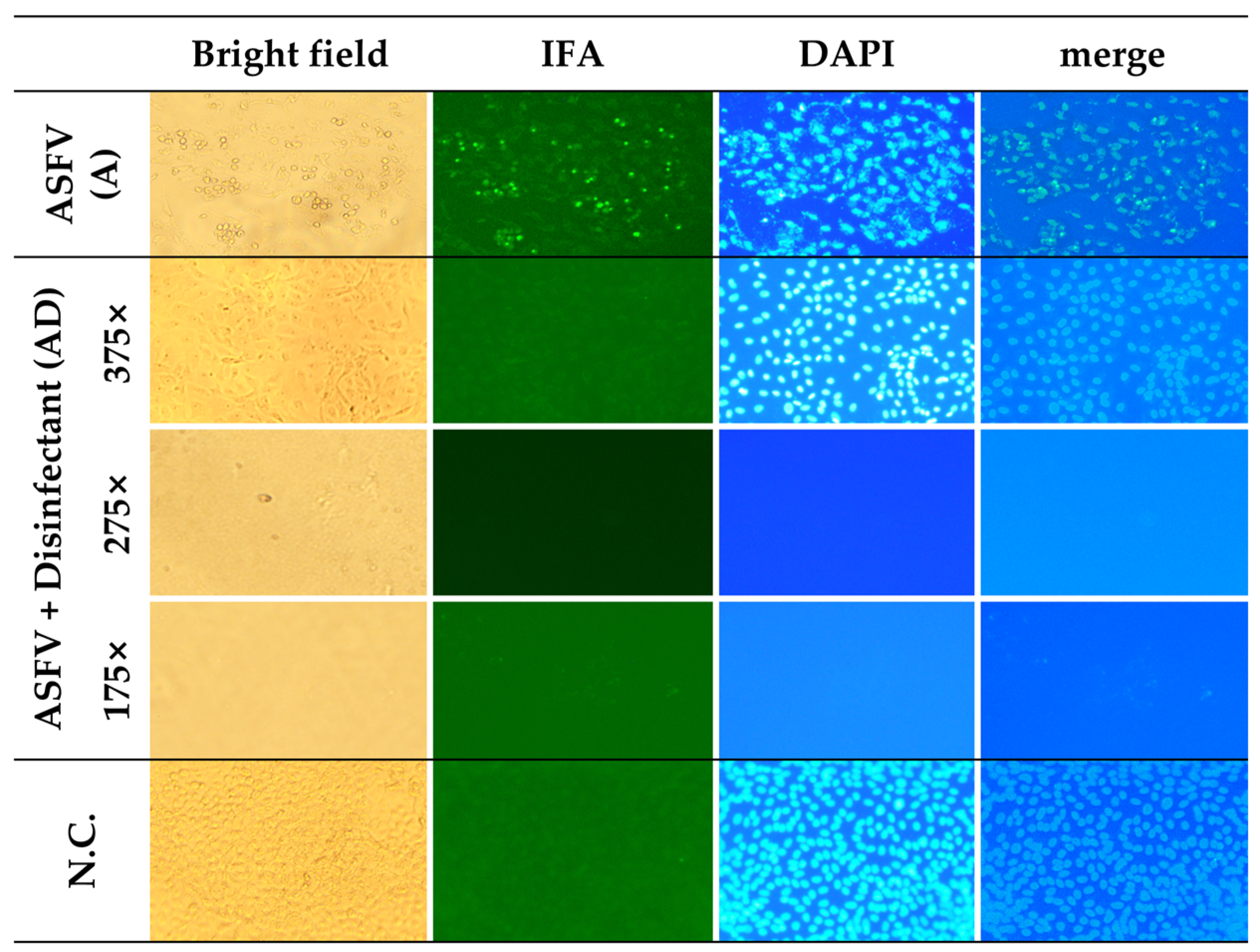 Pathogens 14 00451 g004