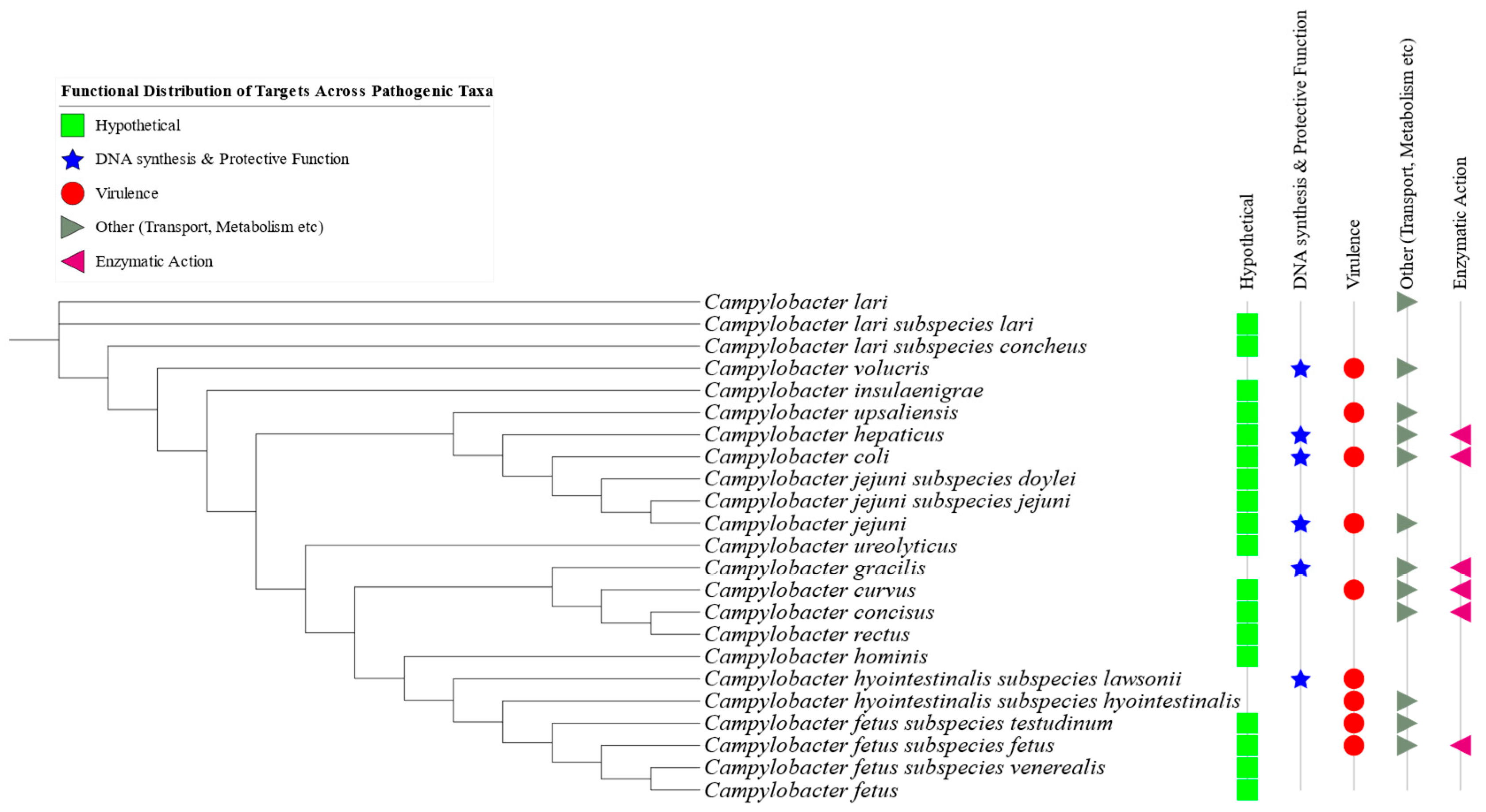 Pathogens 14 00477 g004