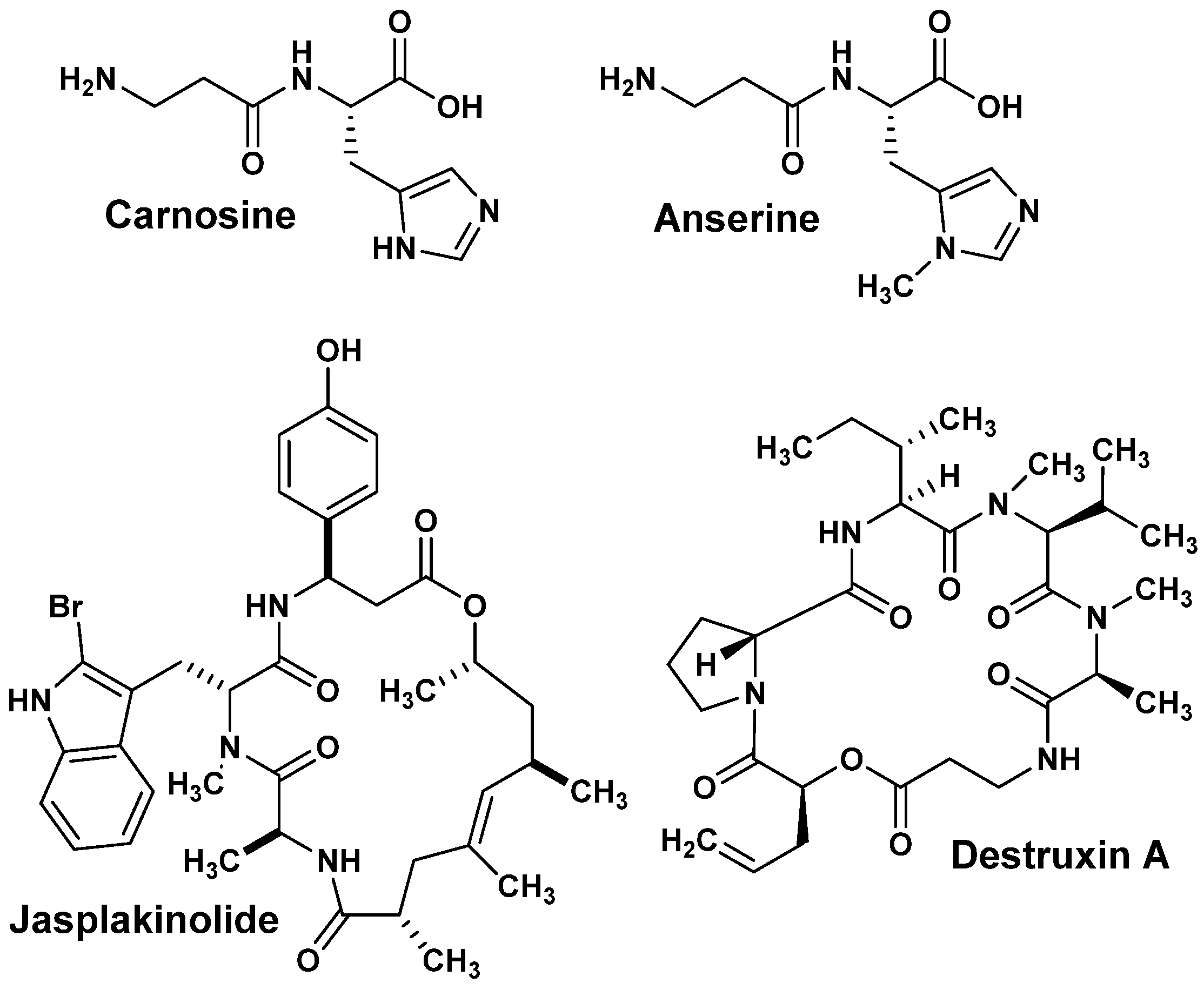 Pathogens 14 00484 g001