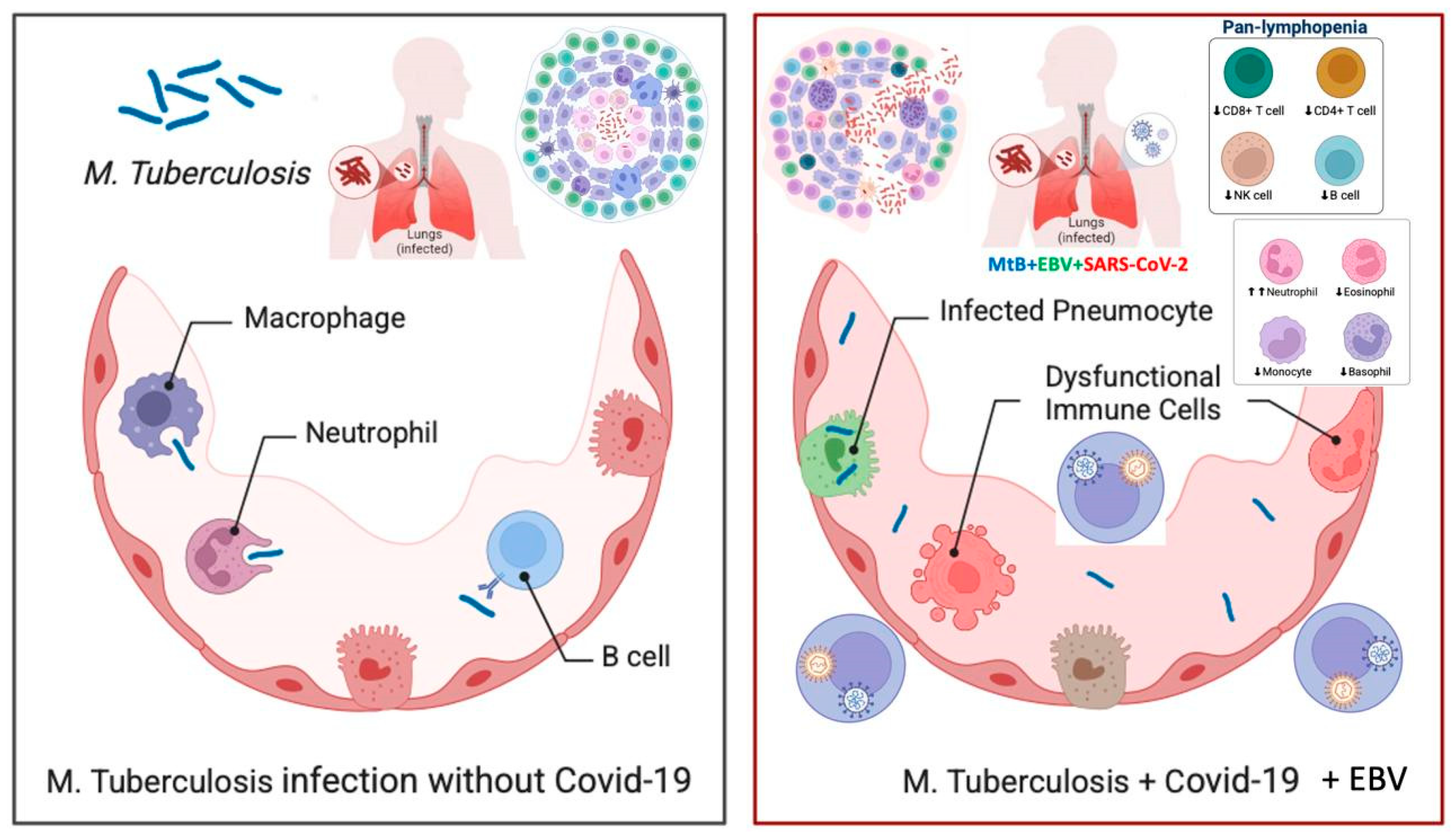 Pathogens 14 00488 g004