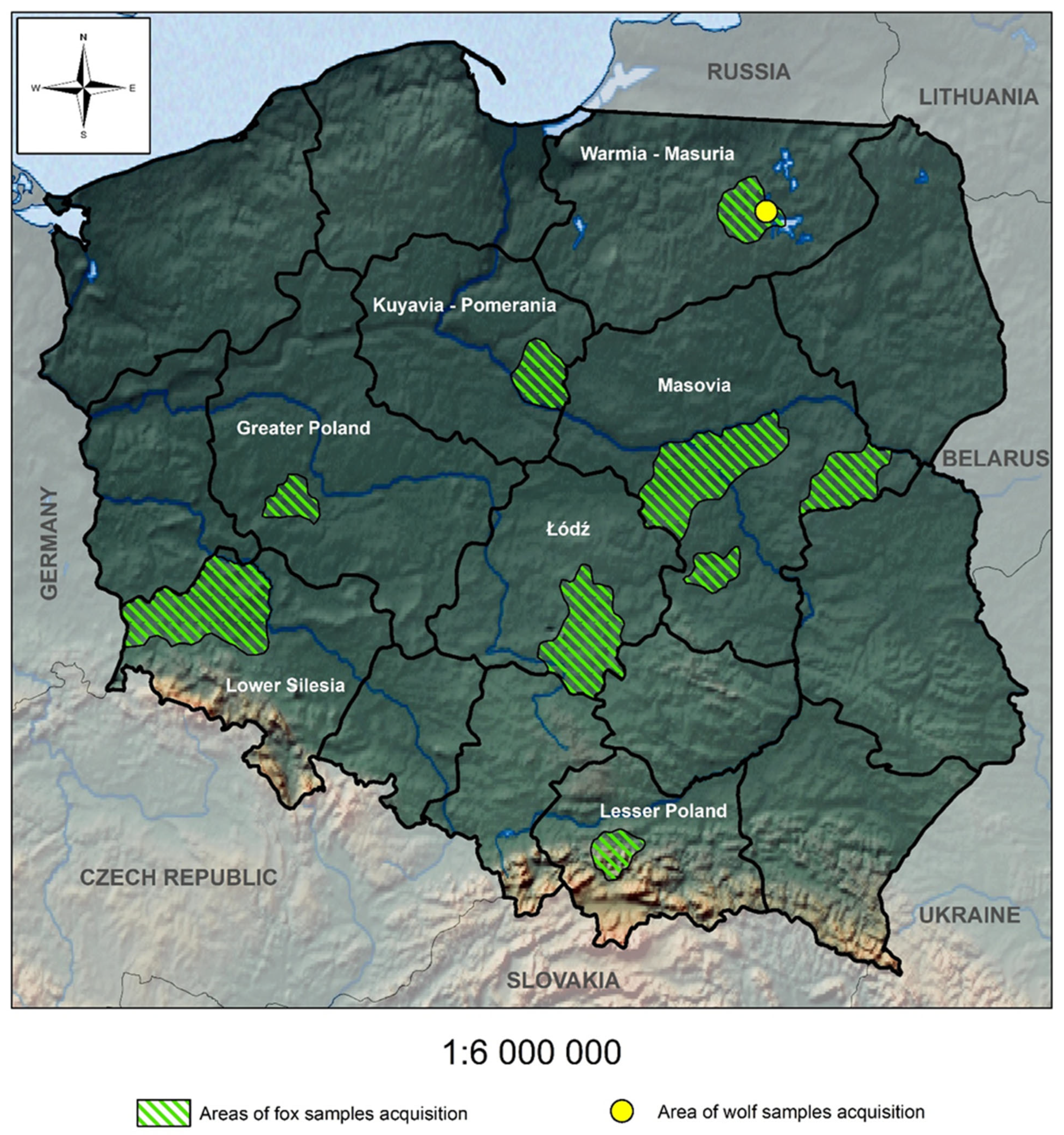 Pathogens 14 00500 g001