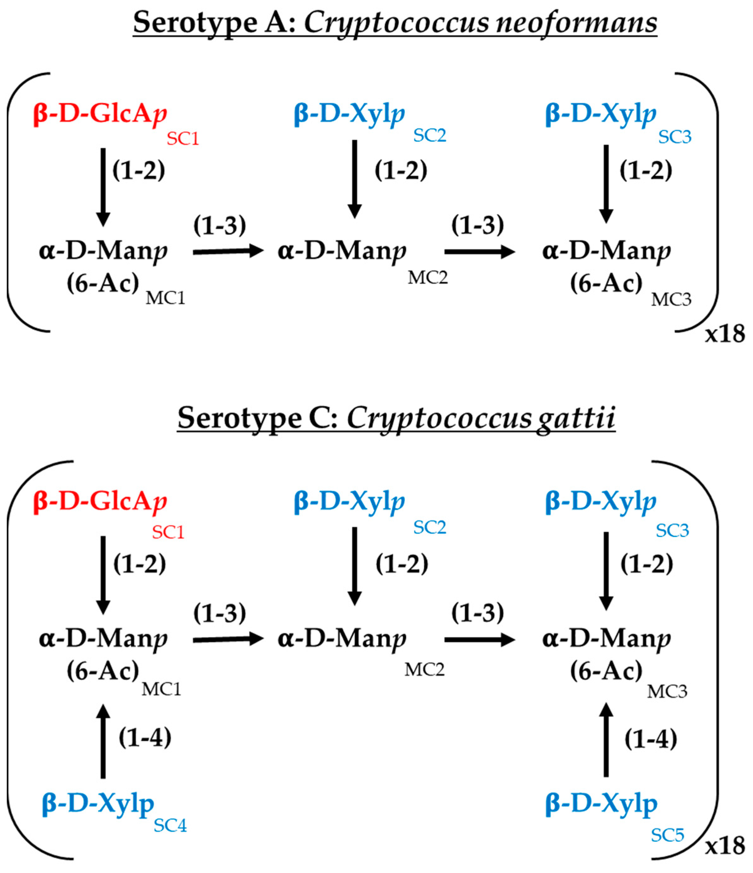 Pathogens 14 00511 g001