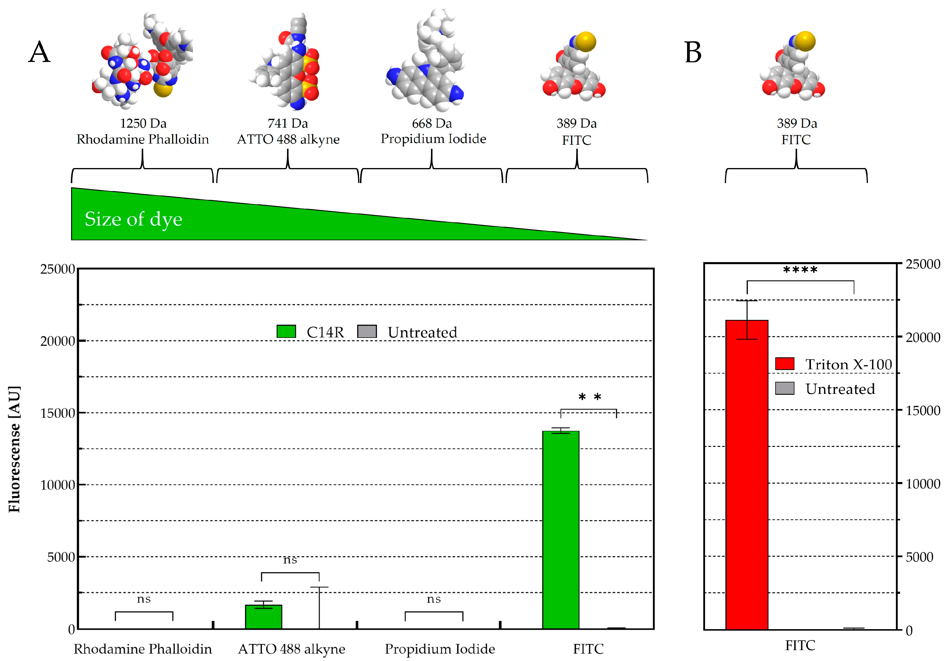 Pathogens 14 00511 g003