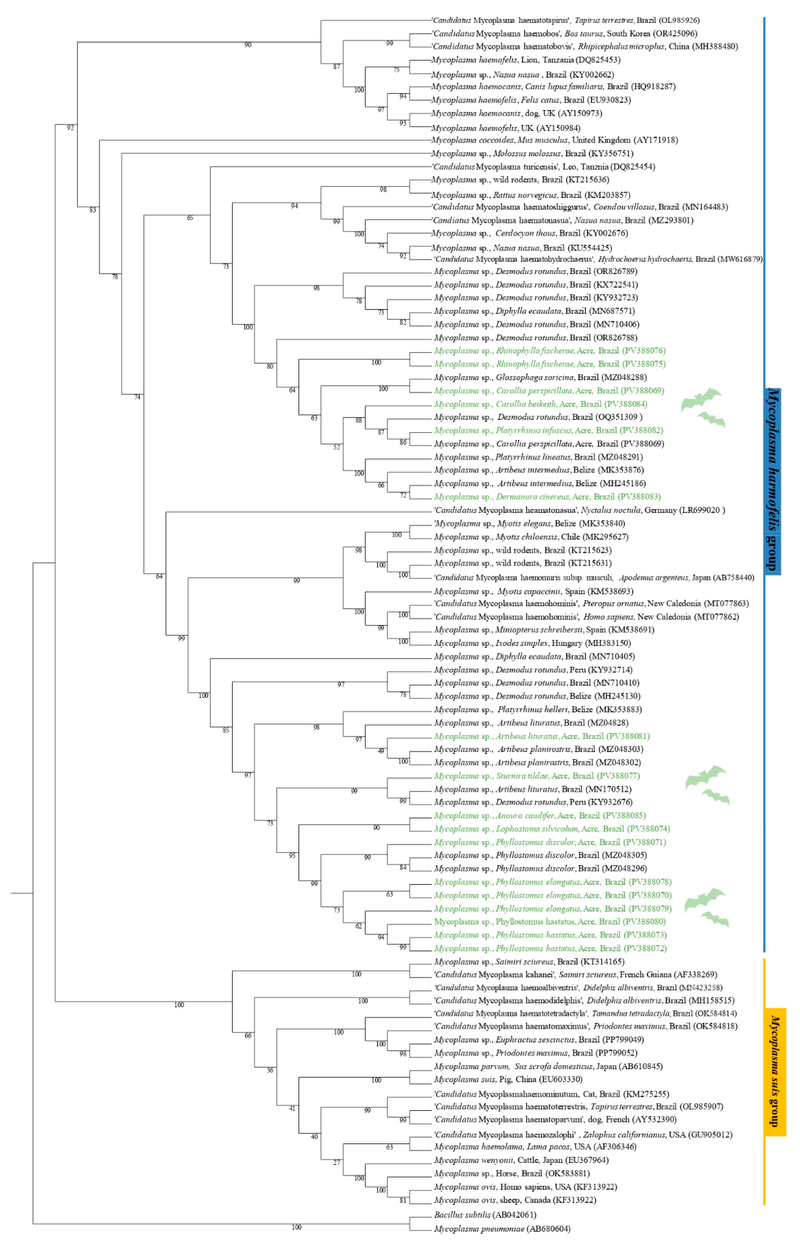 Pathogens 14 00527 g002