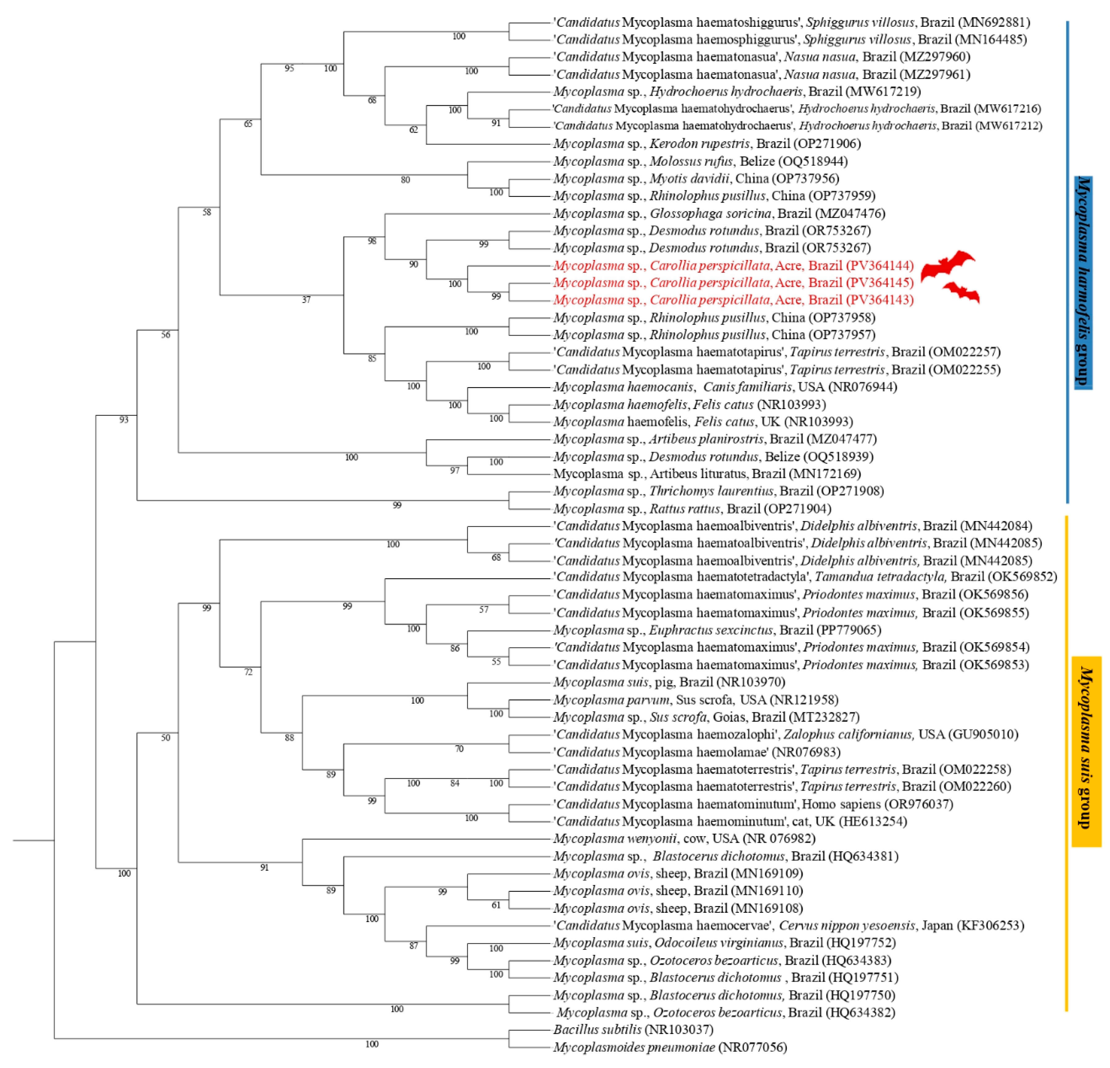 Pathogens 14 00527 g003