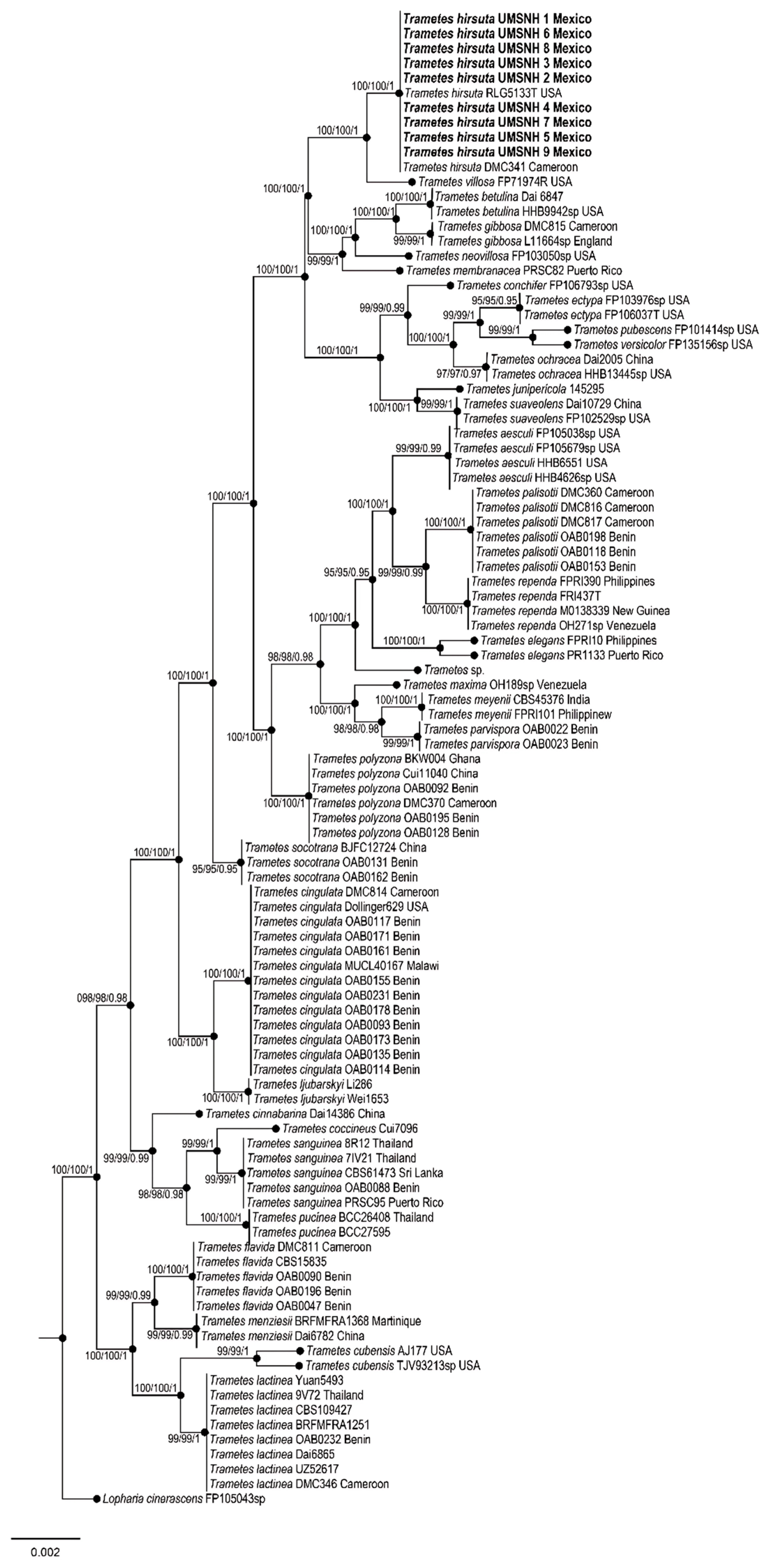 Pathogens 14 00532 g004