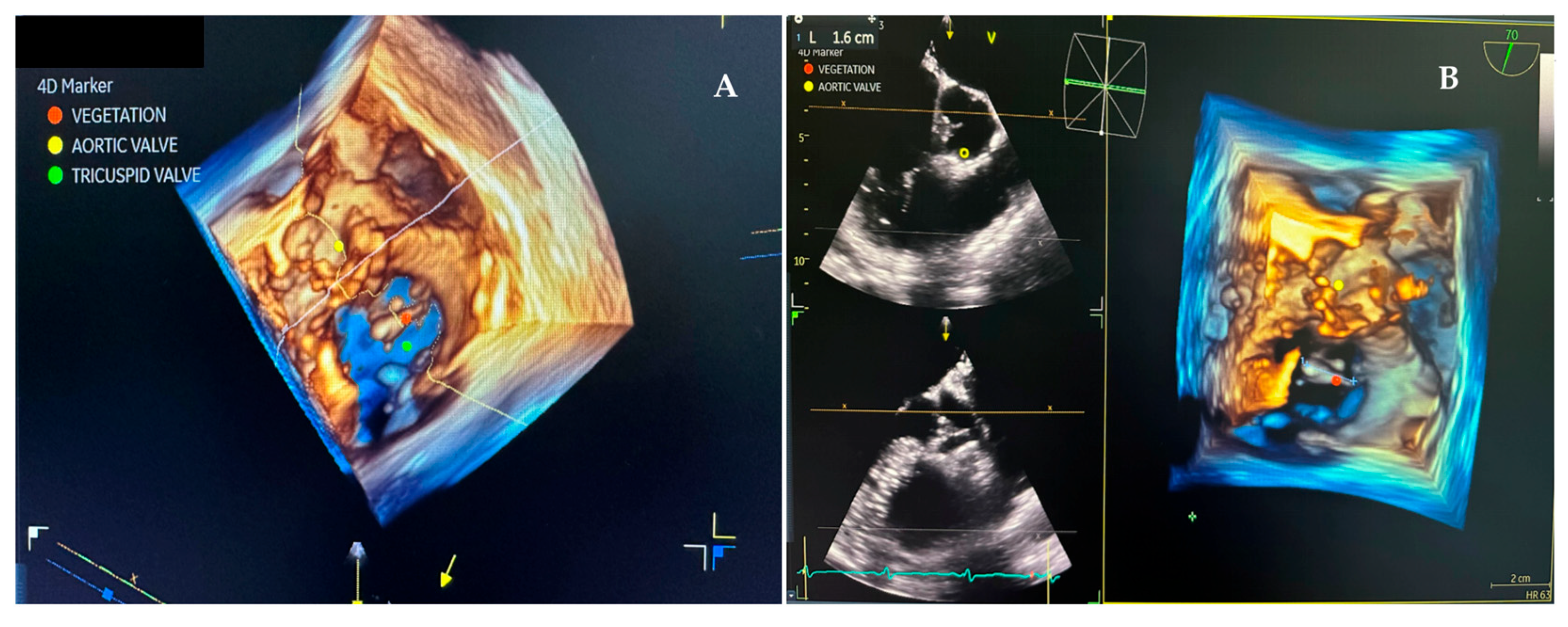 Pathogens 14 00539 g005