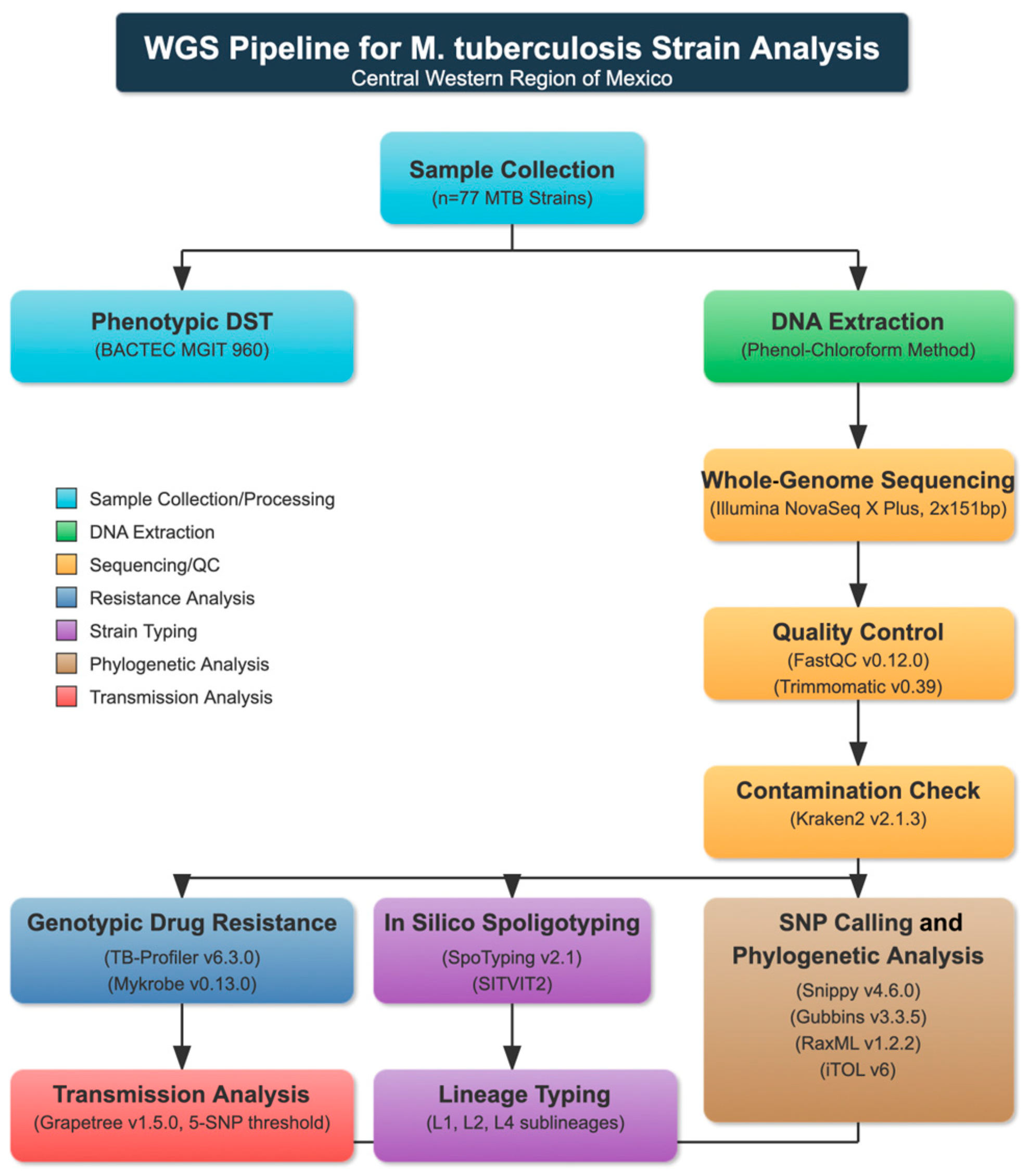 Pathogens 14 00548 g001
