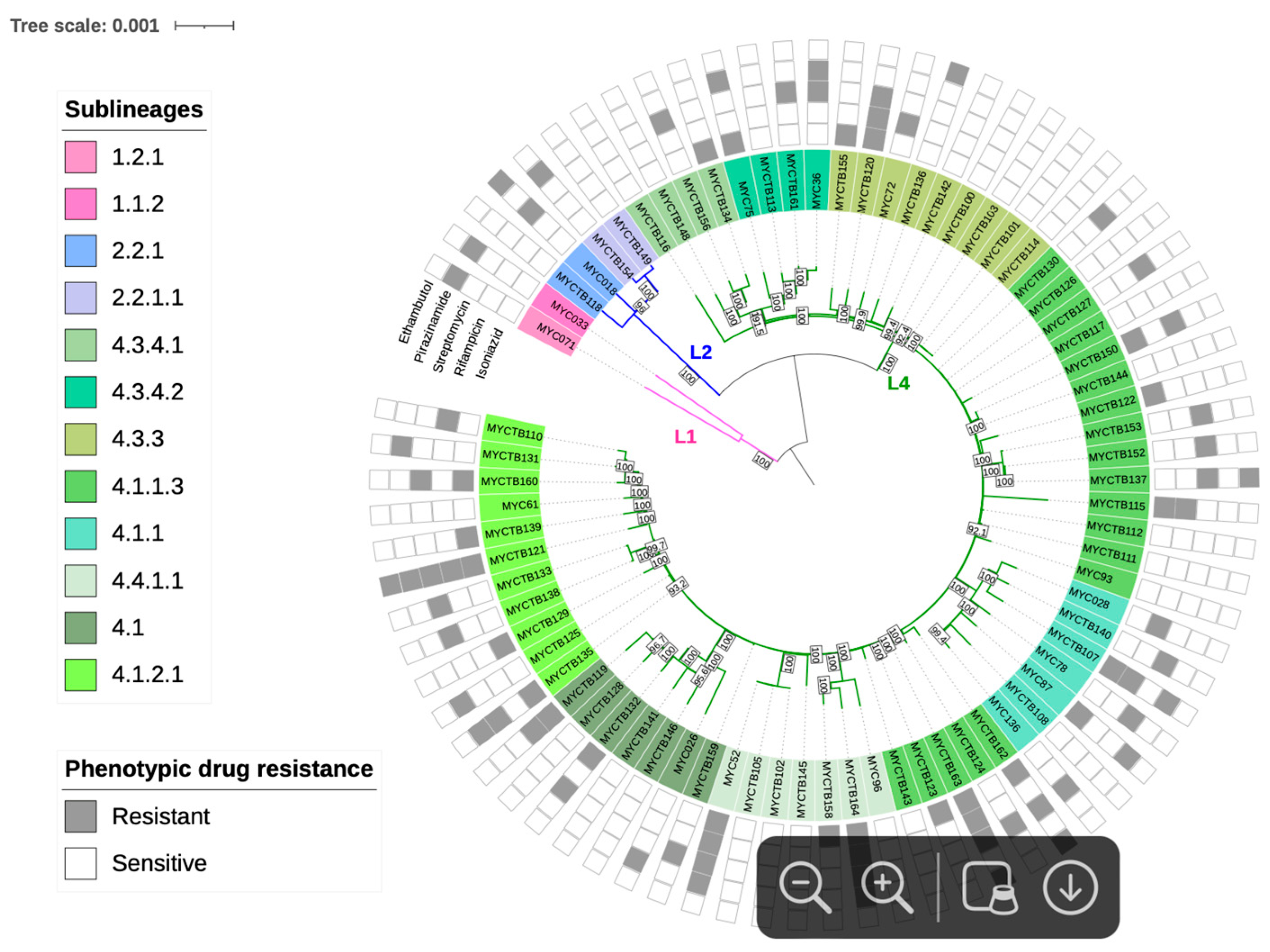 Pathogens 14 00548 g002