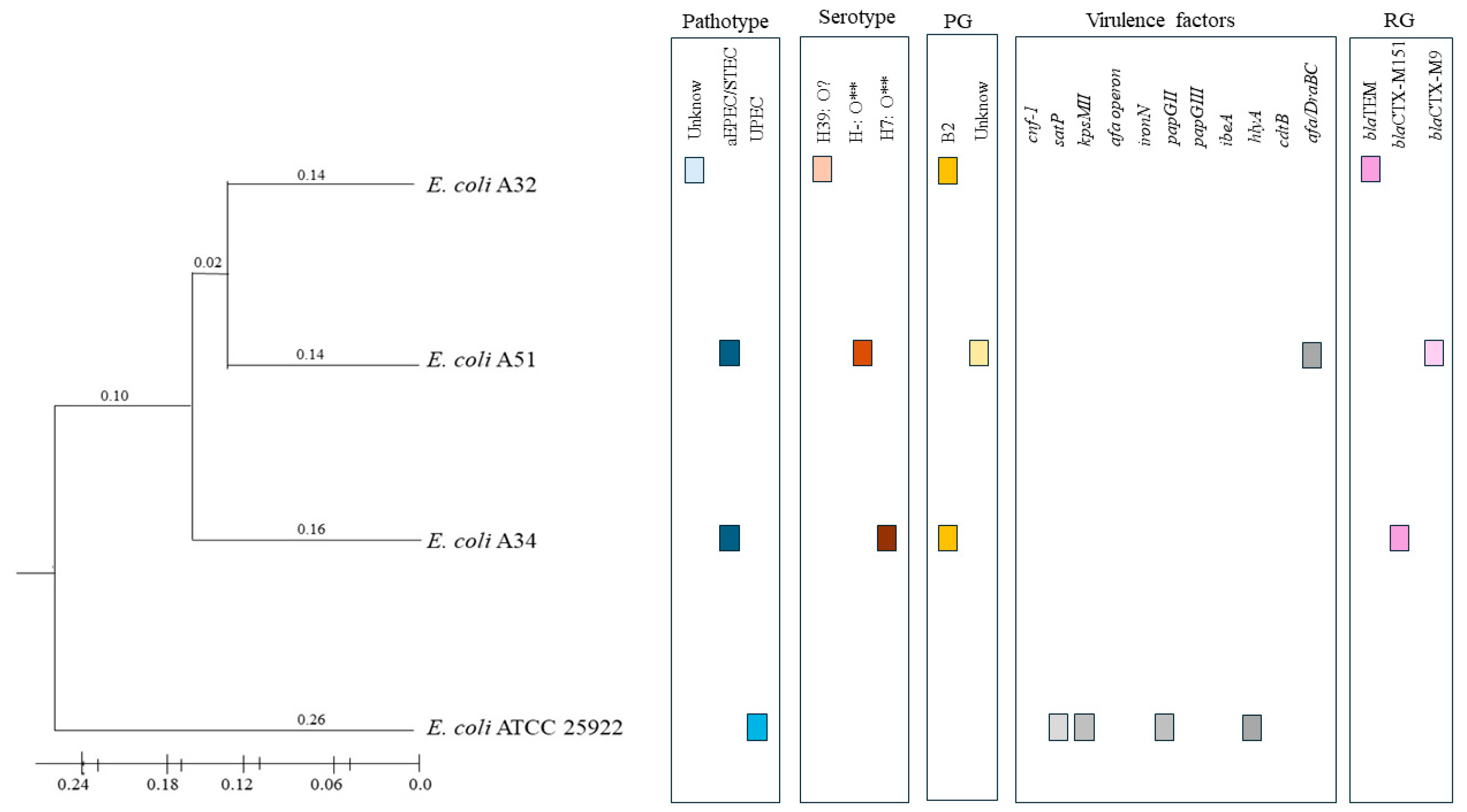 Pathogens 14 00549 g002 Pathogens 14 00549 g002