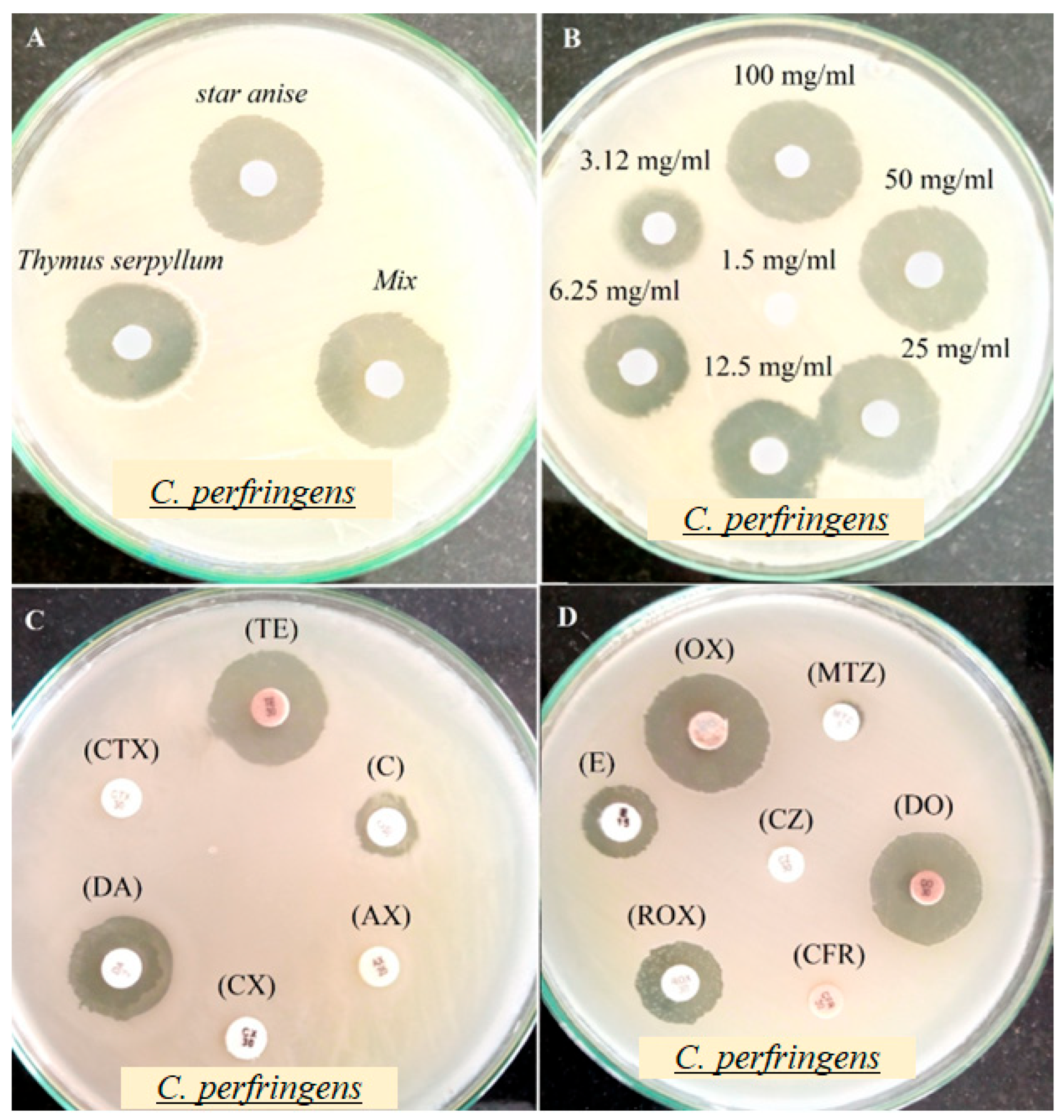 Pathogens 14 00552 g003 Pathogens 14 00552 g003
