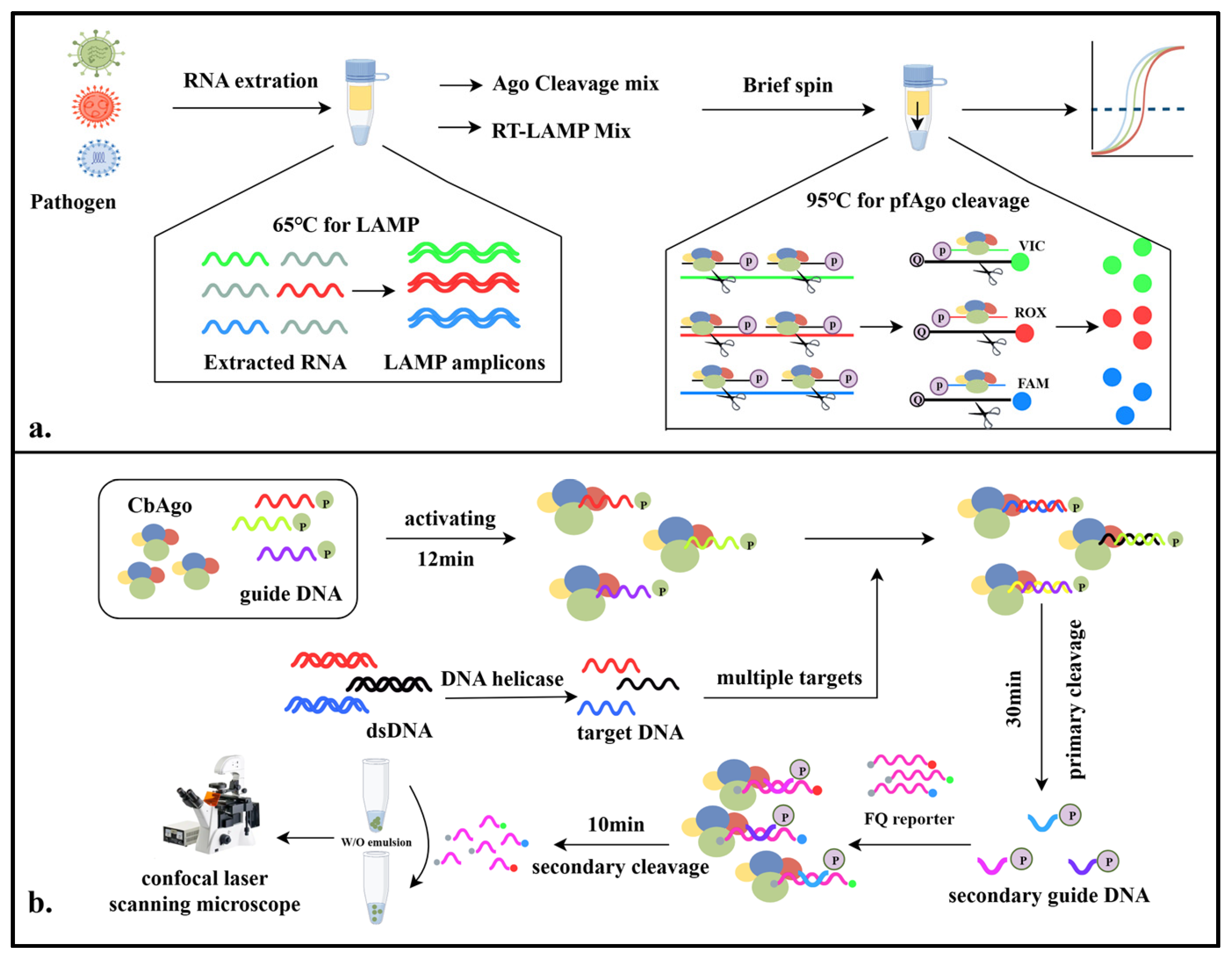 Pathogens 14 00554 g004 Pathogens 14 00554 g004