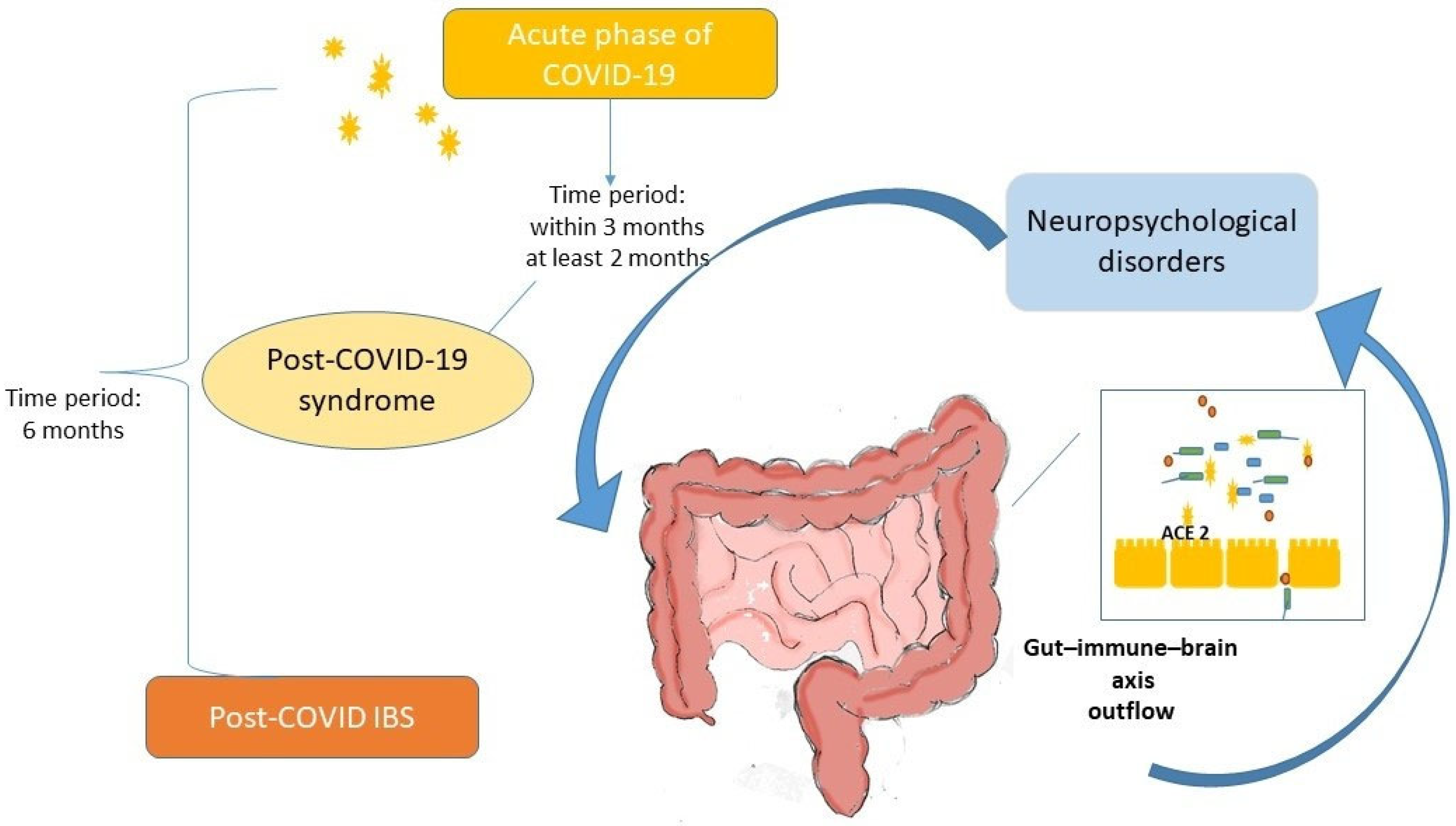 Pathogens 14 00555 g001