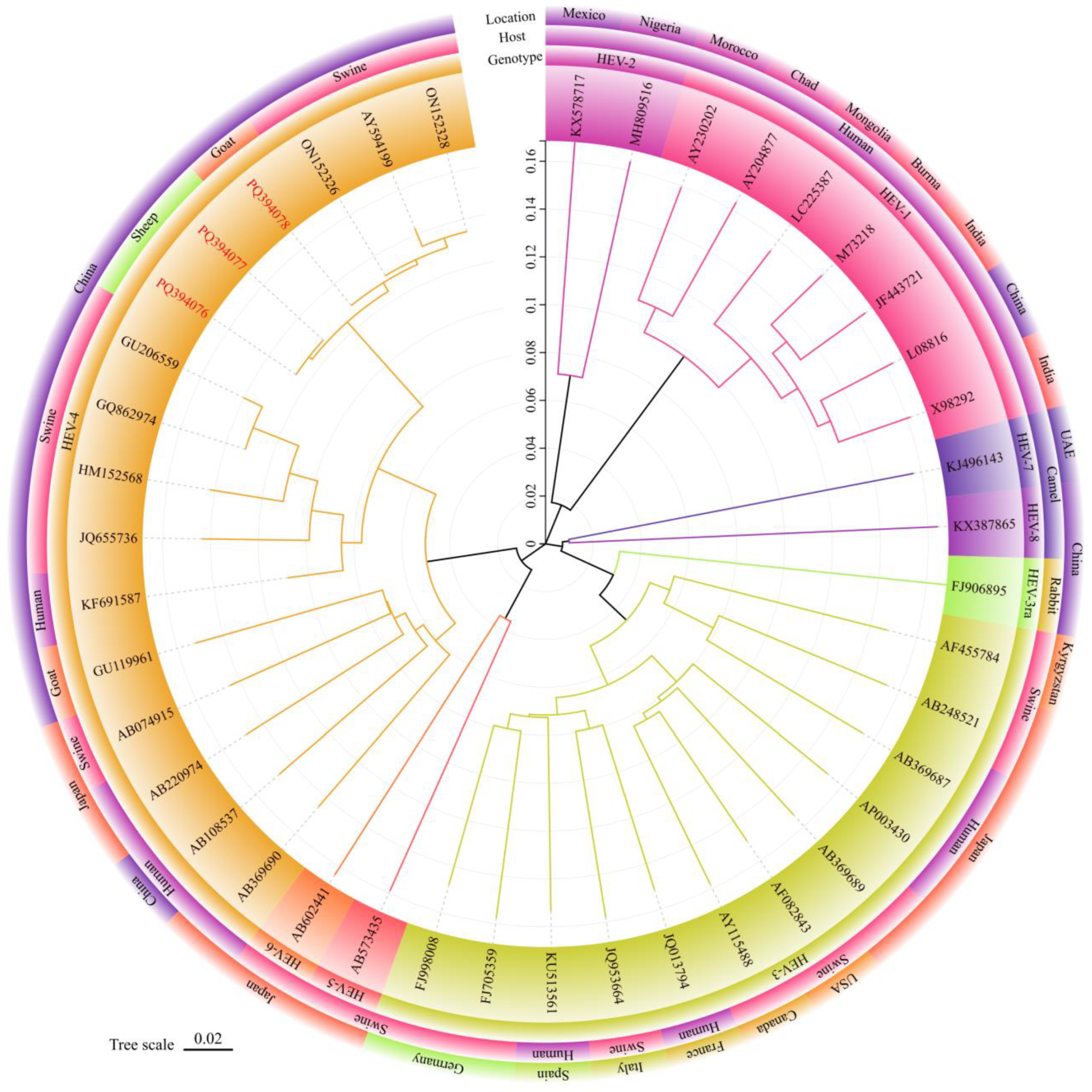 Pathogens 14 00564 g002 Pathogens 14 00564 g002
