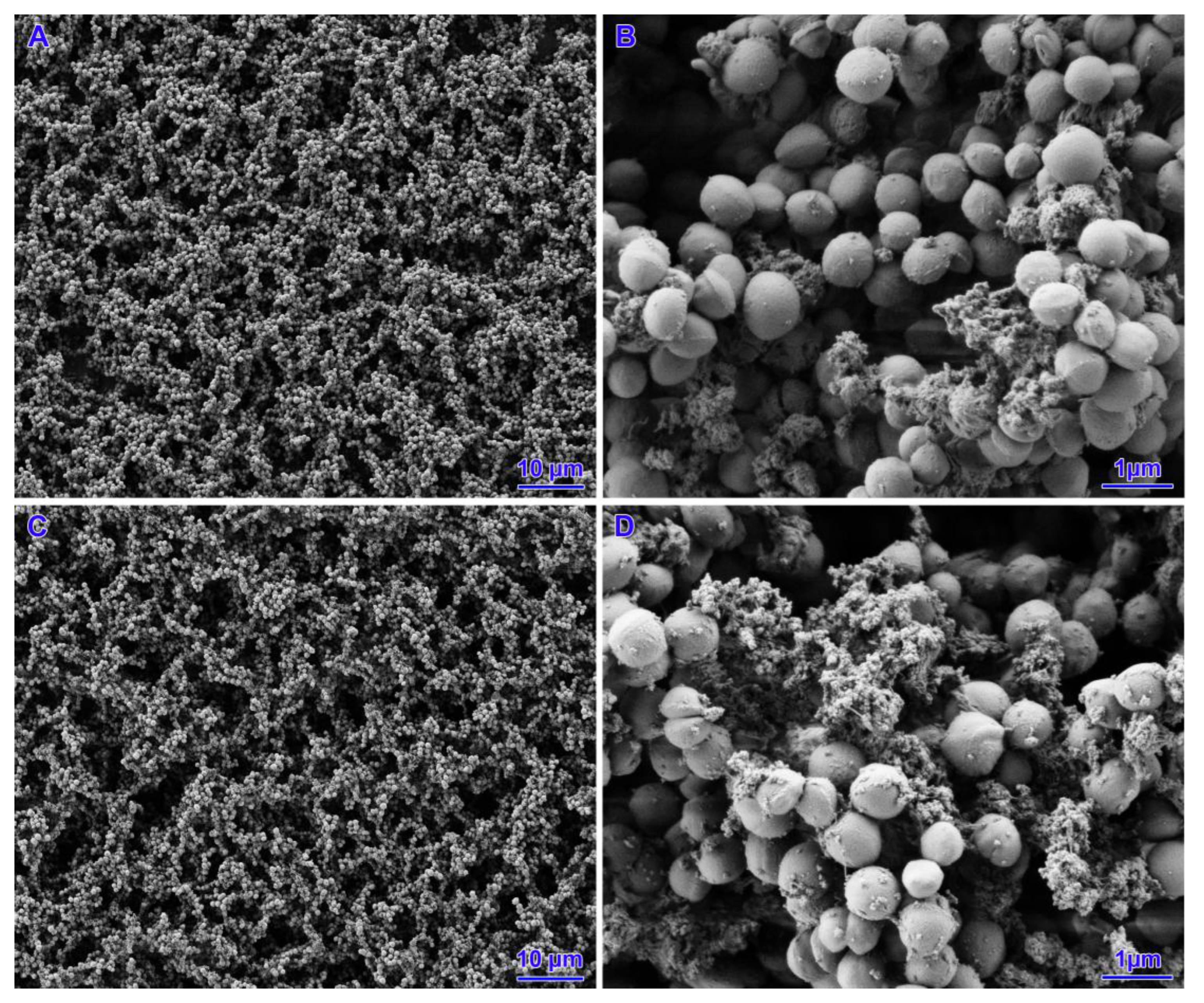 Pathogens 14 00566 g005