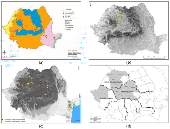 Pathogens 14 00572 g002a