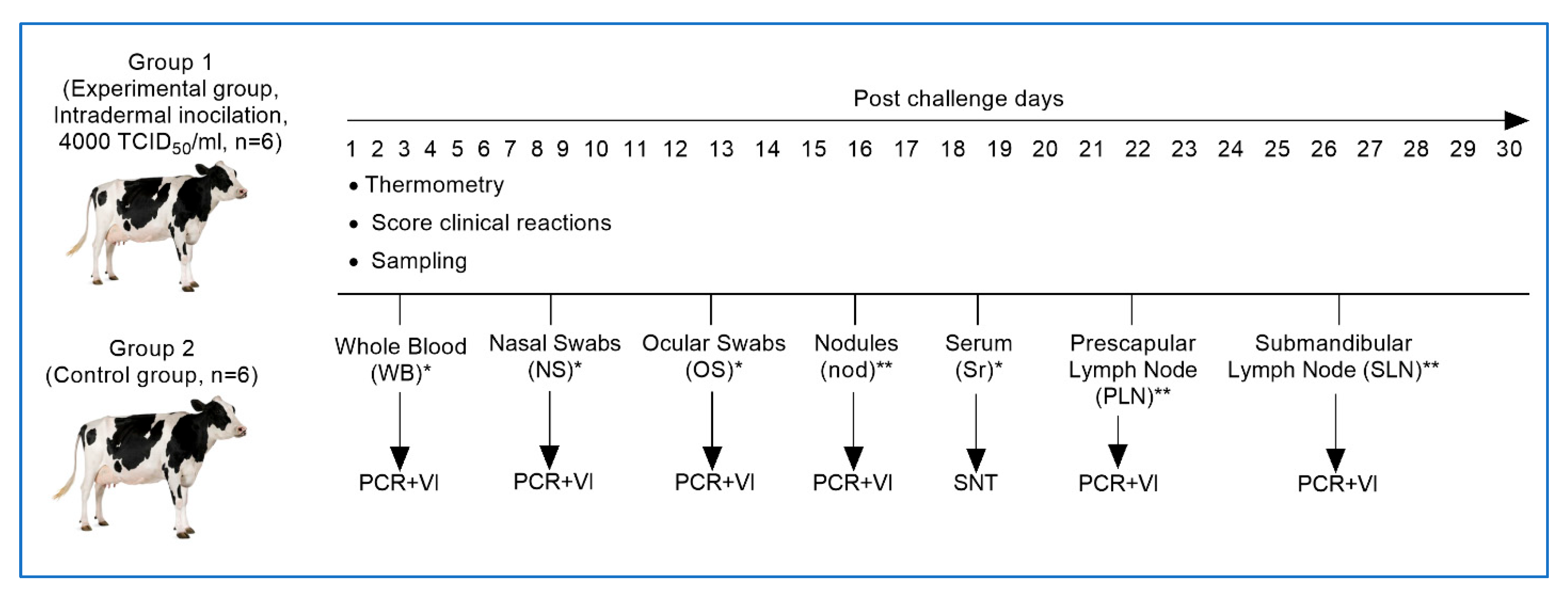 Pathogens 14 00577 g001