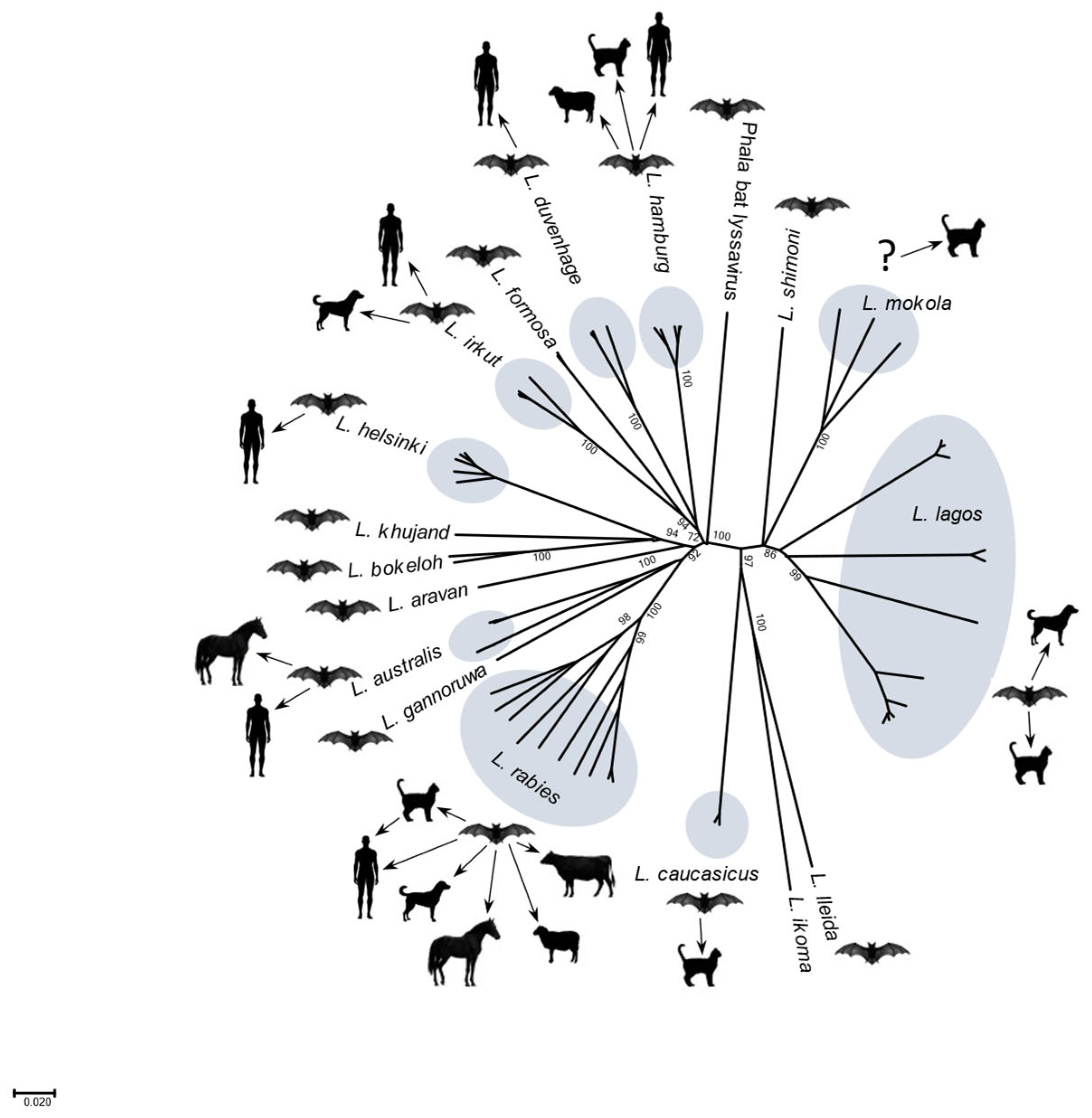 Pathogens 14 00586 g004 Pathogens 14 00586 g004