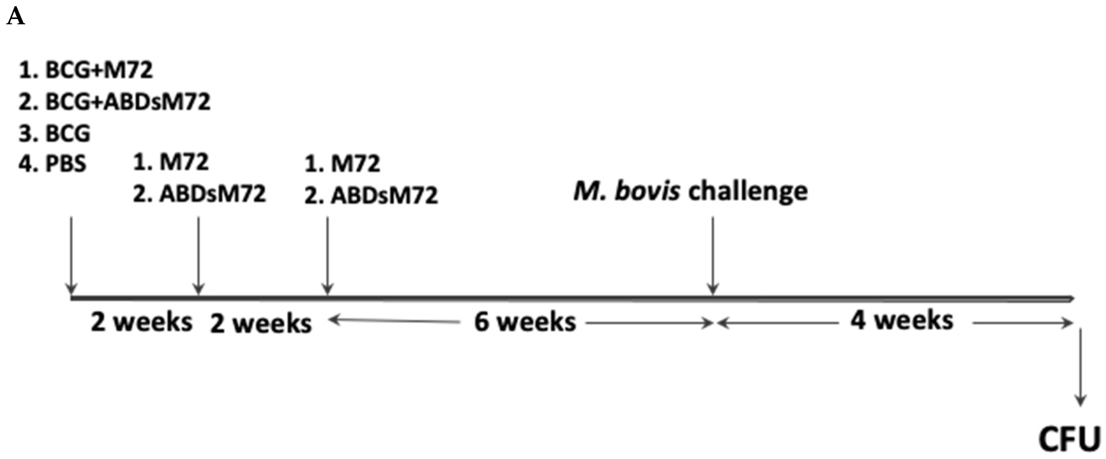 Pathogens 14 00592 g002a Pathogens 14 00592 g002a