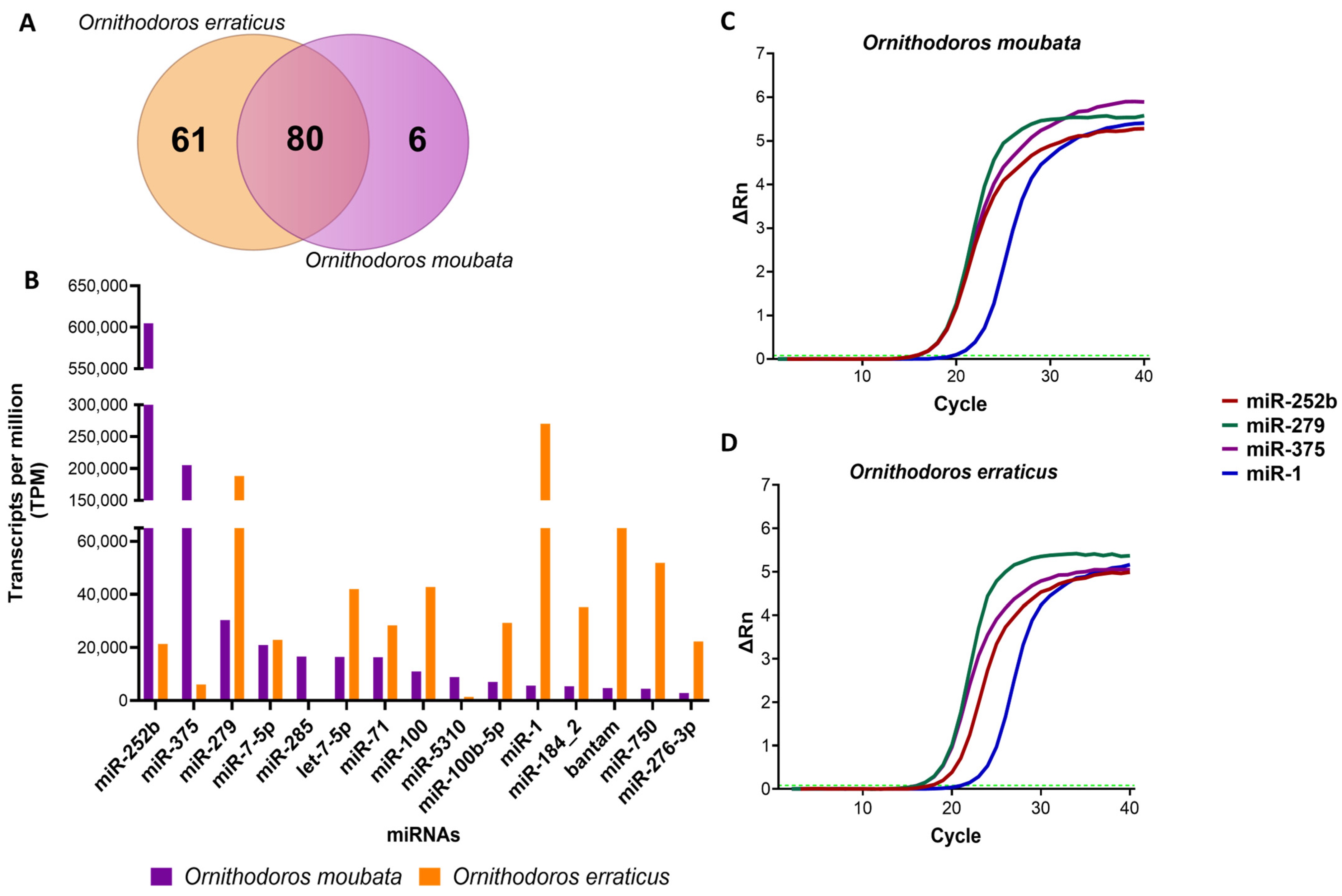 Pathogens 14 00595 g001 Pathogens 14 00595 g001