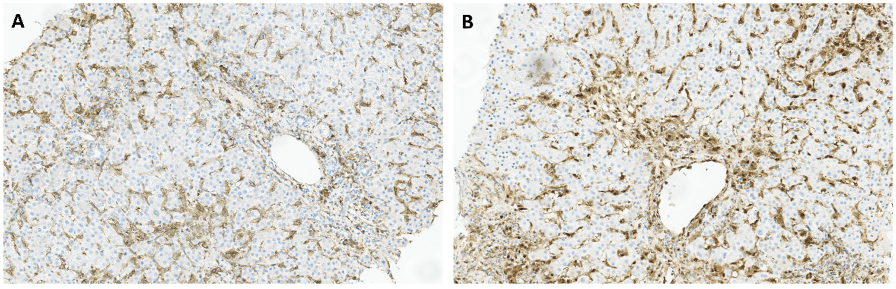 Pathogens 14 00596 g002