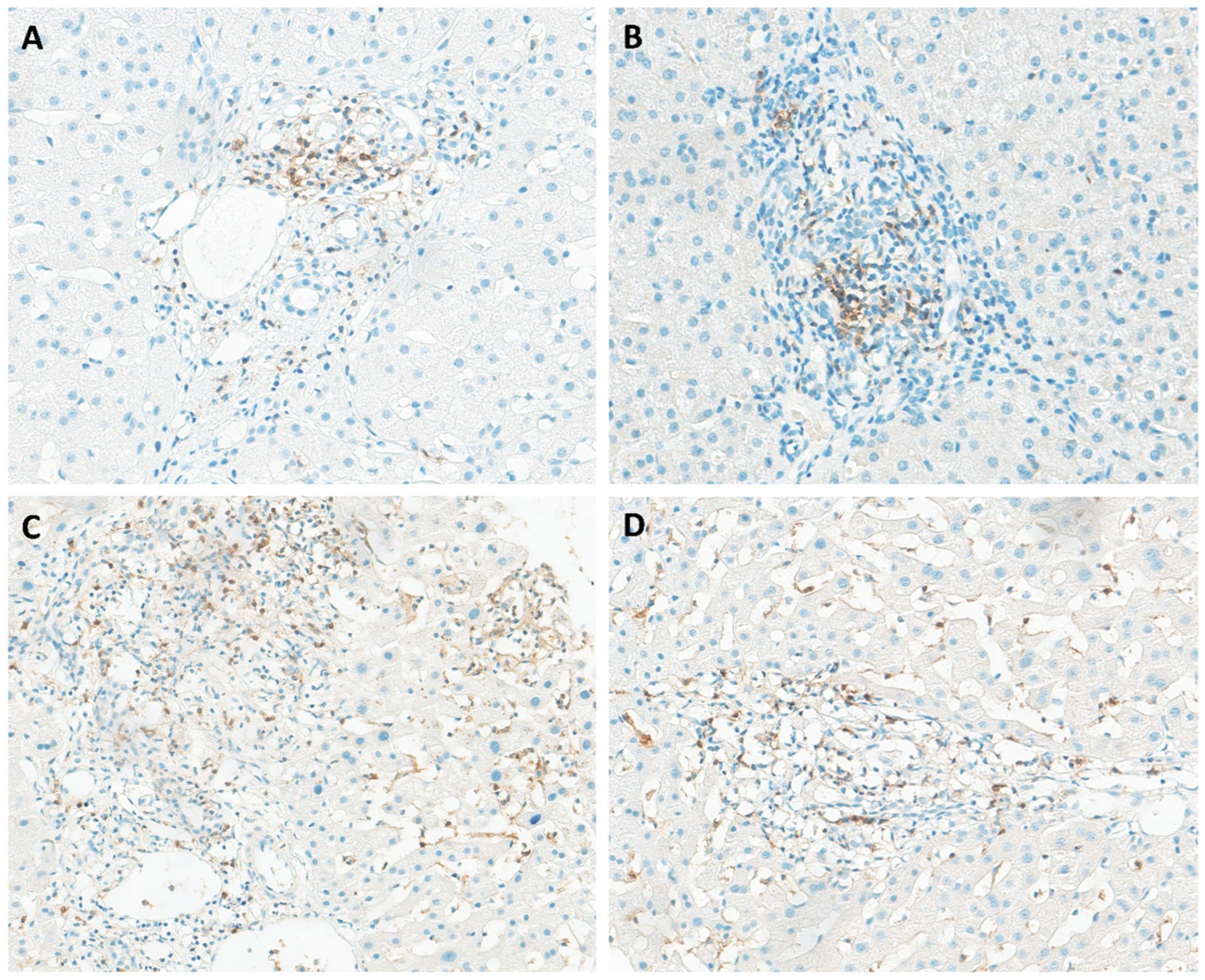 Pathogens 14 00596 g003
