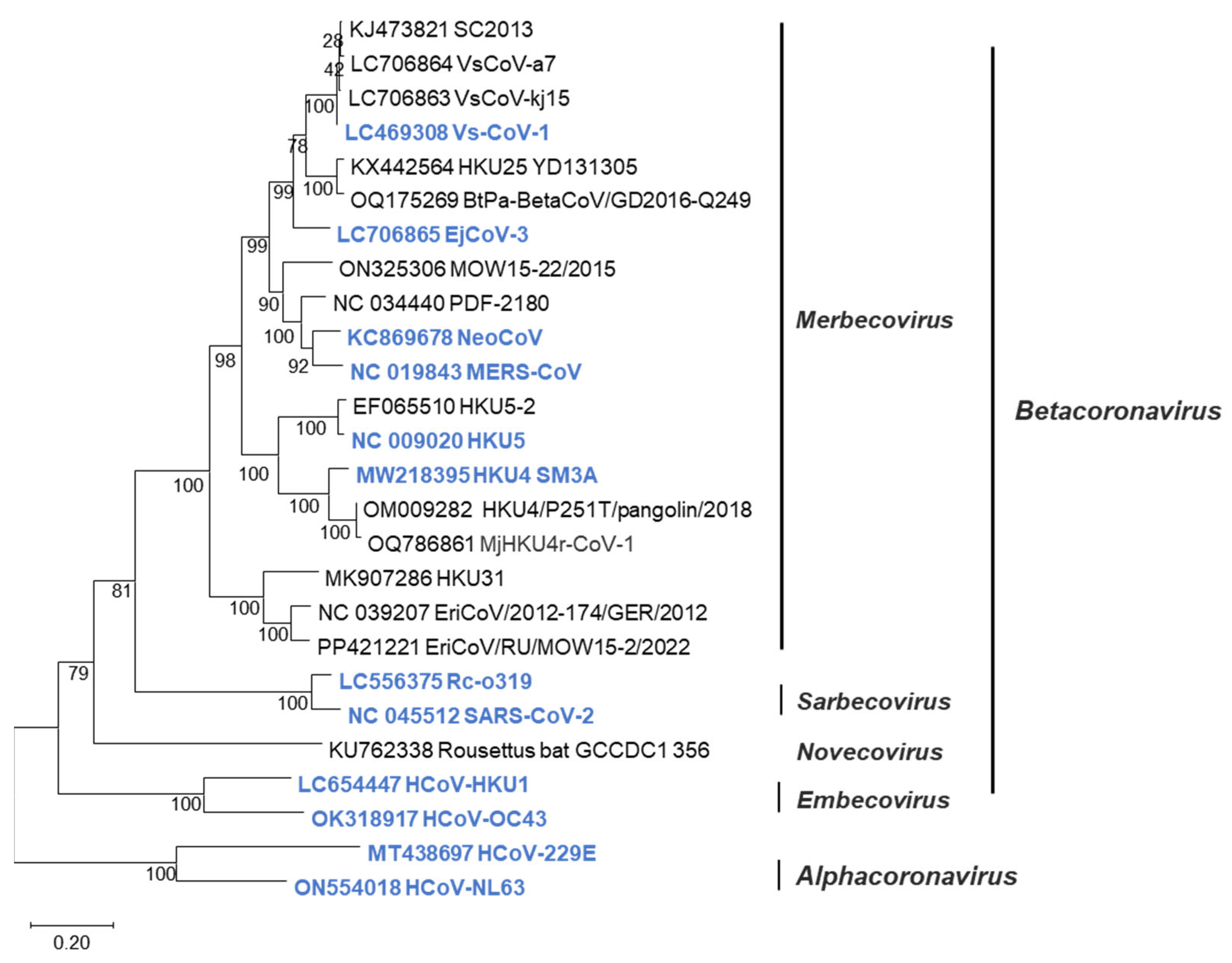 Pathogens 14 00605 g001