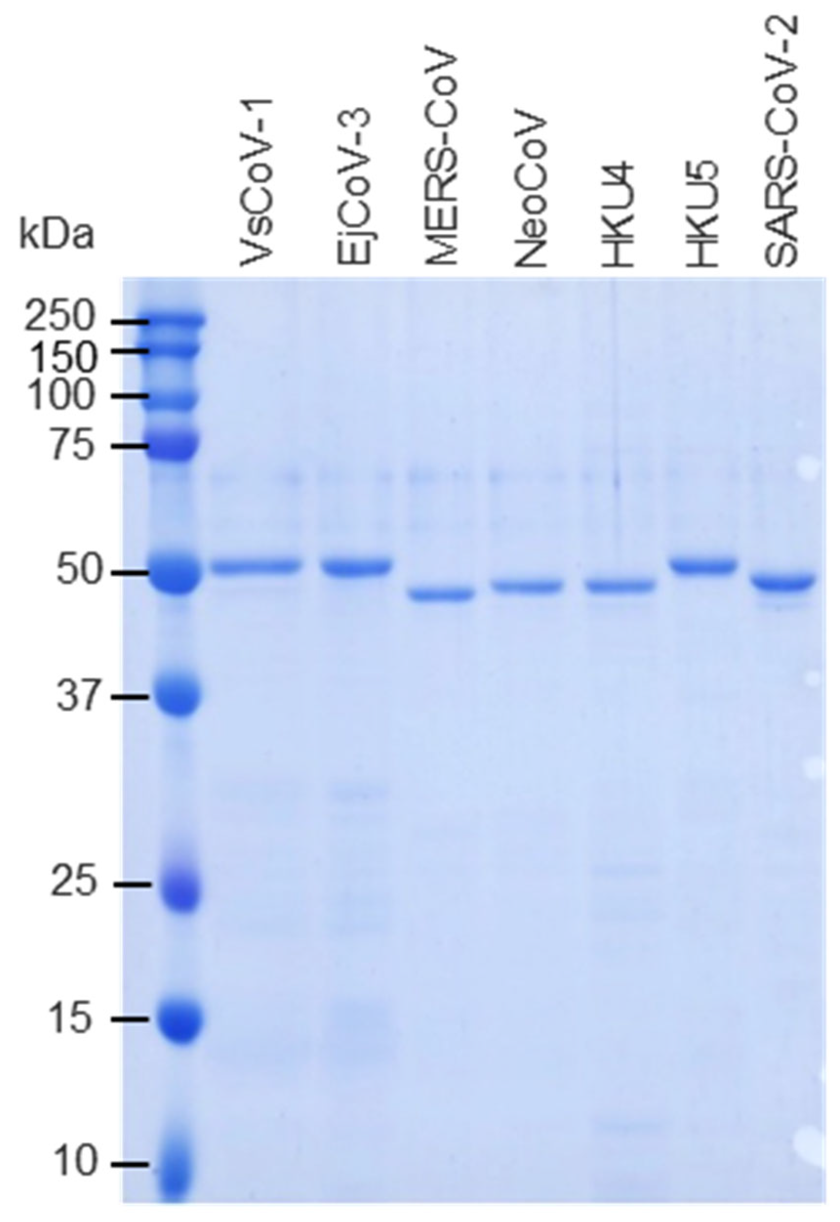 Pathogens 14 00605 g002